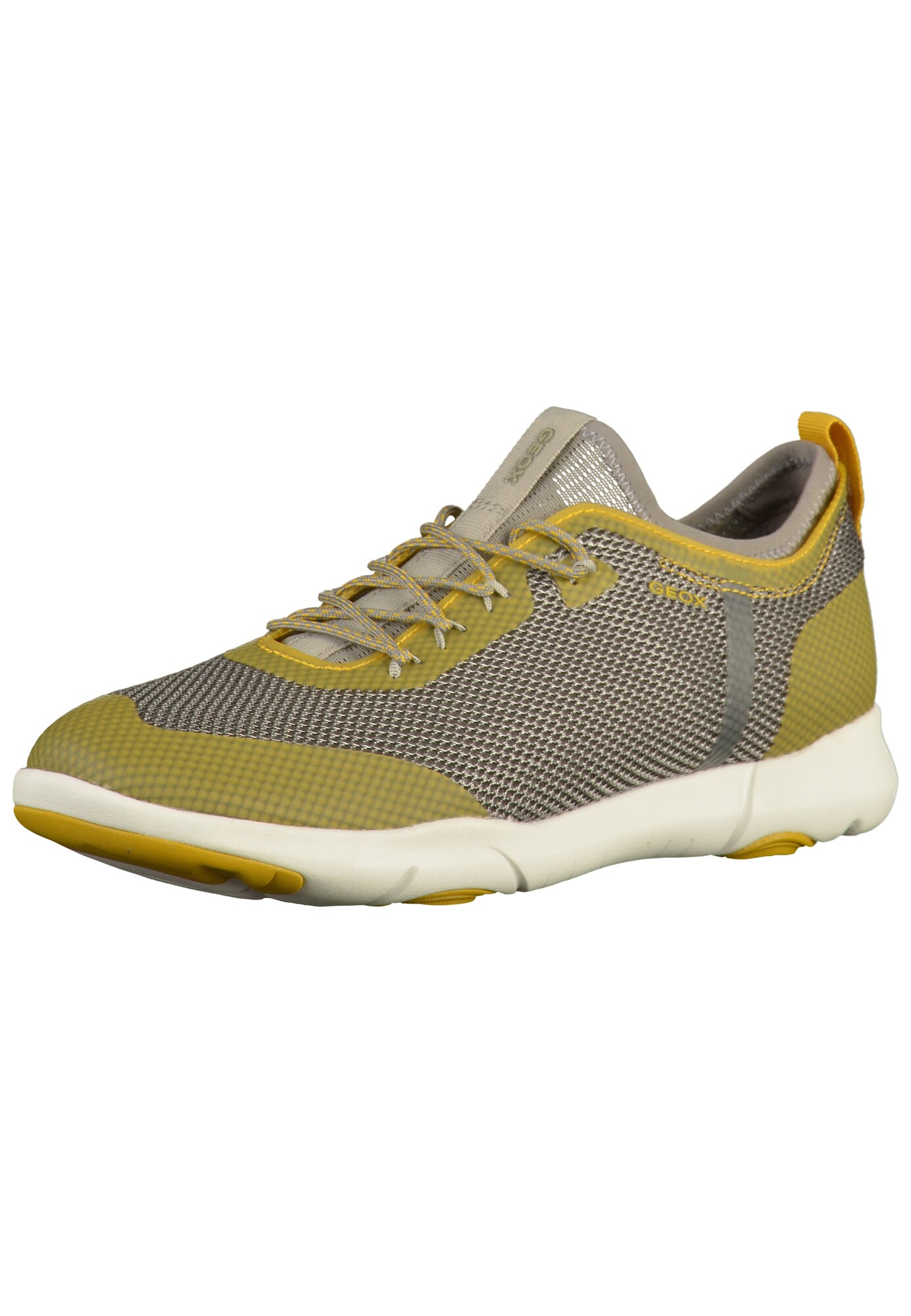 GEOX Sneaker curry / grau