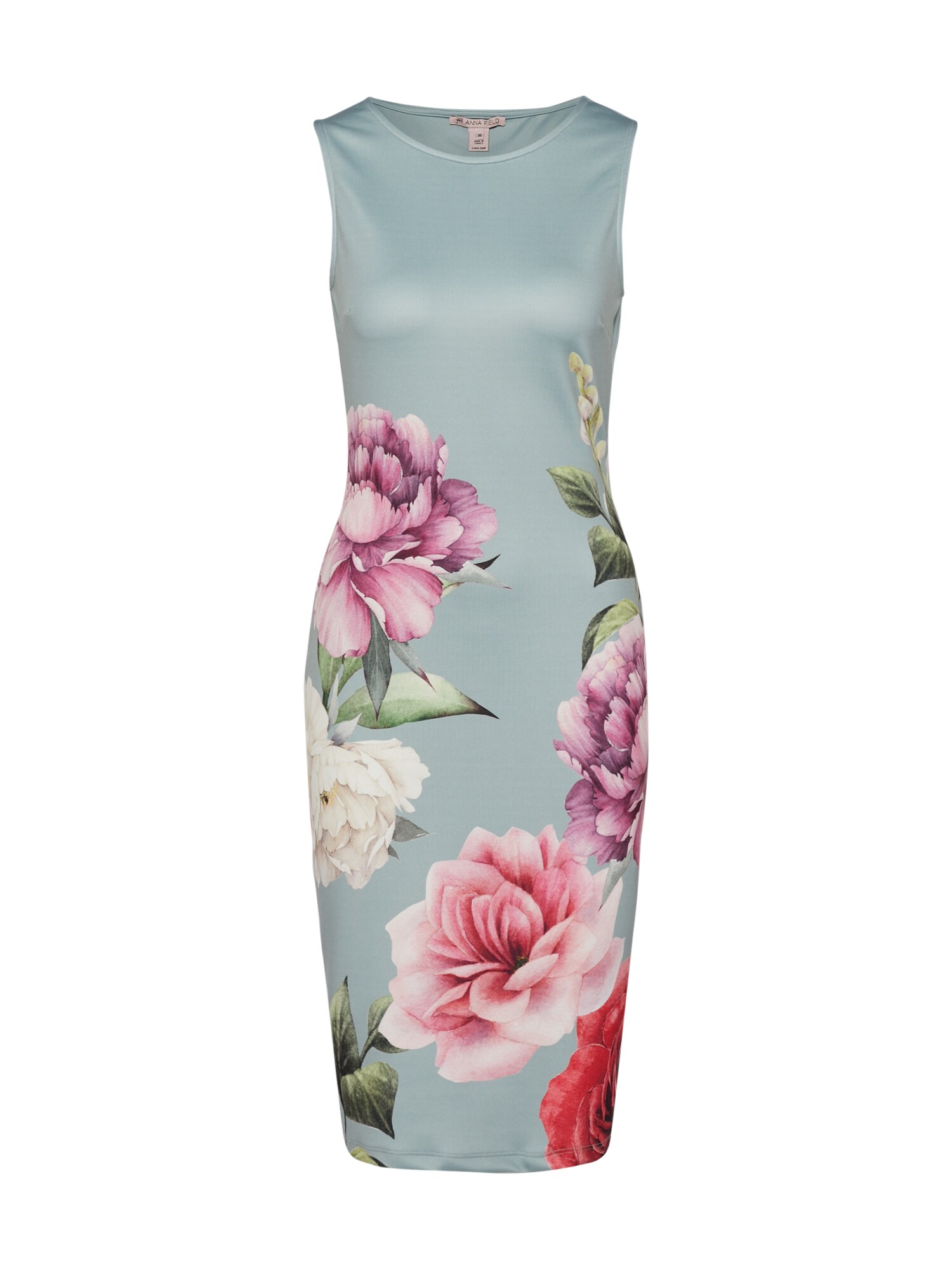 Anna Field Jurk crème / blauw / pastelblauw / rosa / rood