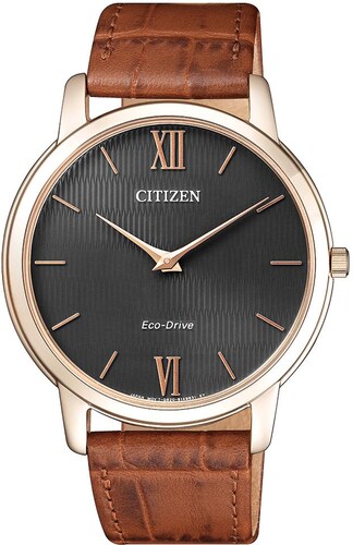 CITIZEN Citizen Solaruhr »AR1133-15H« braun / gold