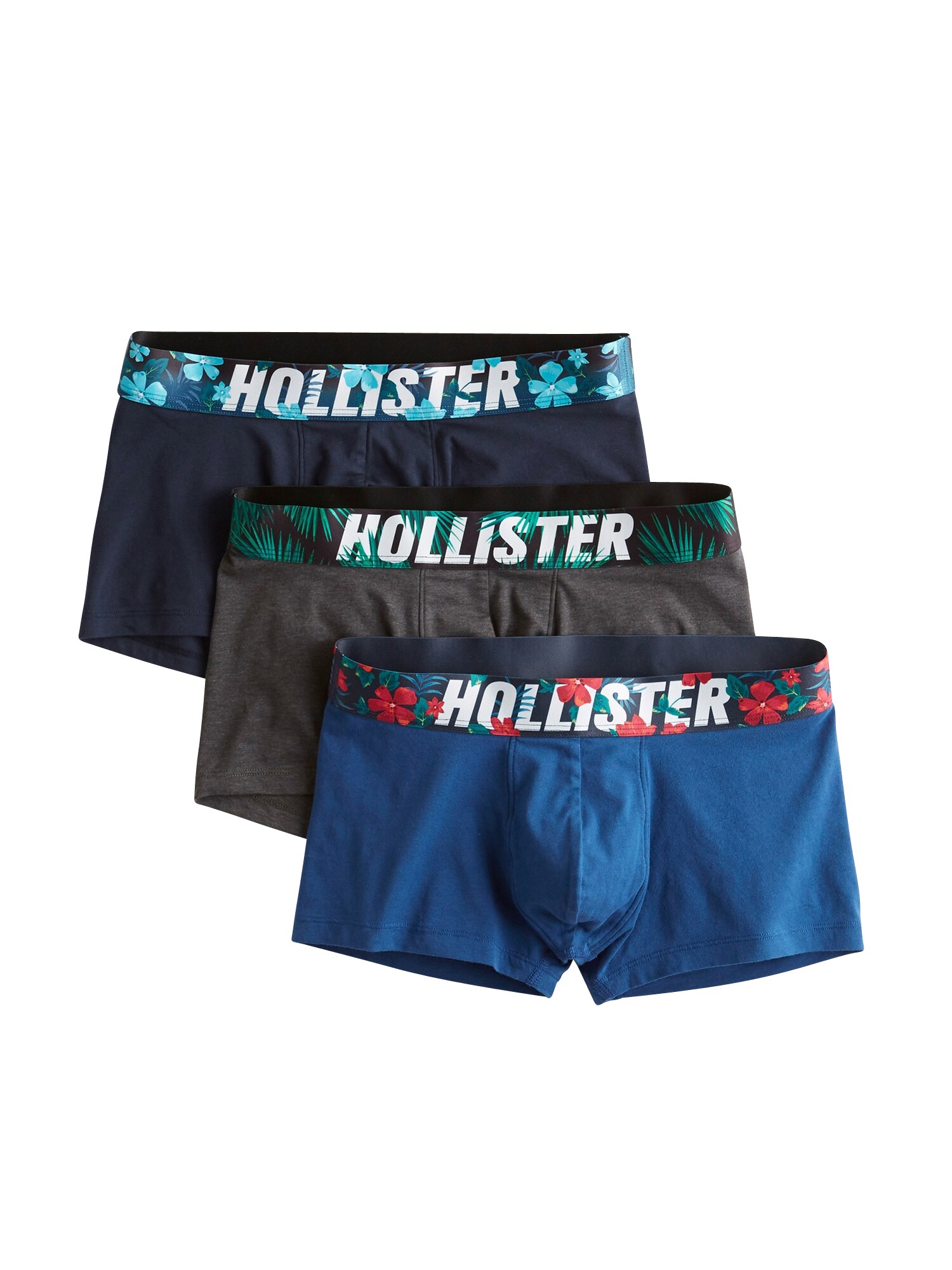 HOLLISTER Boxershorts ''''SB19-SLT WB INTEREST MP 2CC'''' blau / grau
