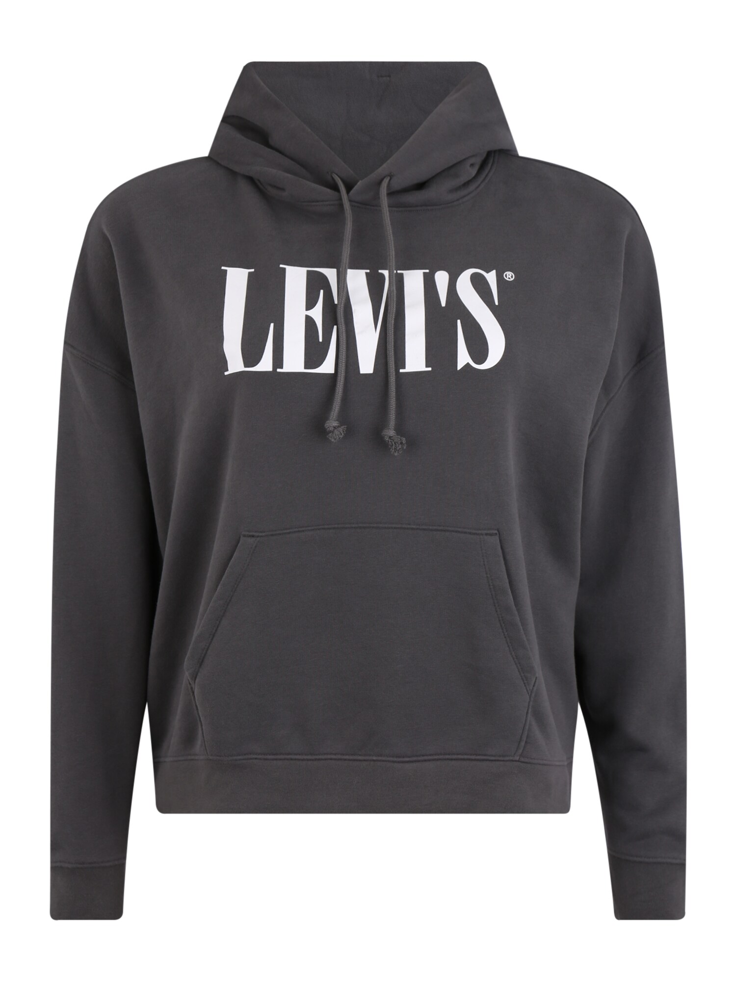 Levi's® Plus Megztinis be užsegimo 'GRAPHIC'  pilka