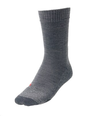 FALKE Calcetines deportivos  gris basalto