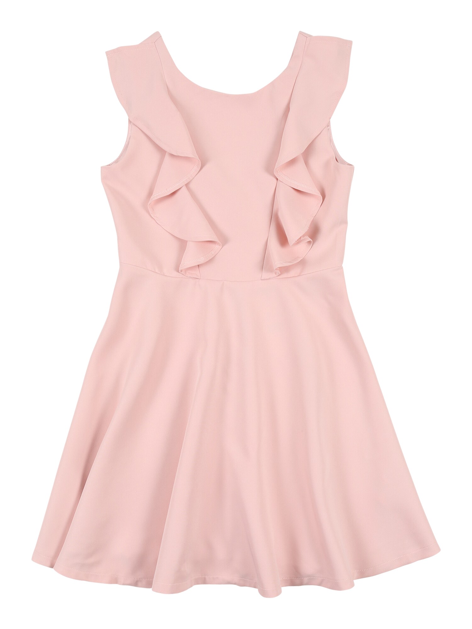 Bardot Junior Suknelė 'Riley Ruffle Dress'  rožių spalva