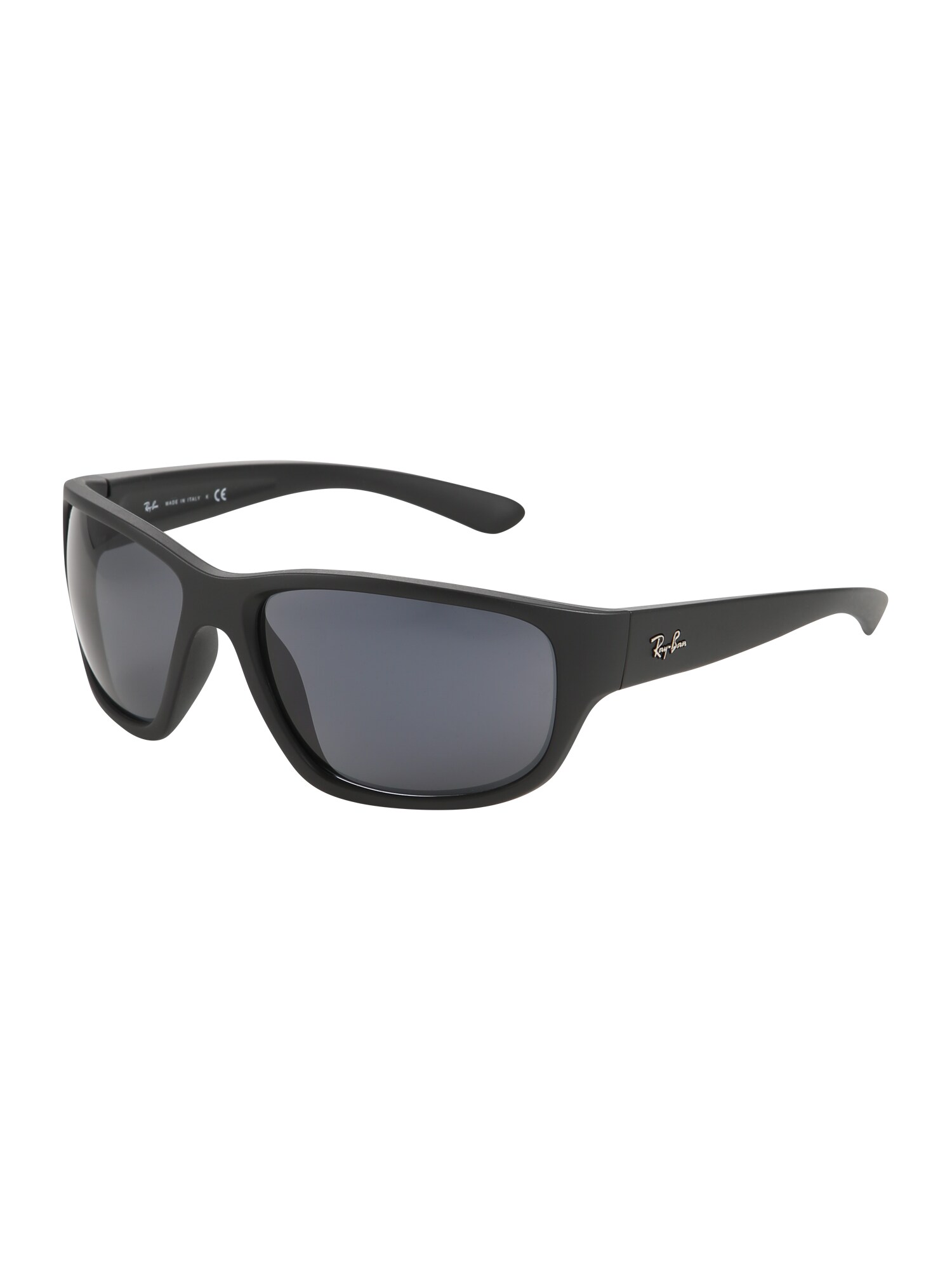 Rayban Ray Ban Heren Zonnebril Zwart rayban kopen in de aanbieding