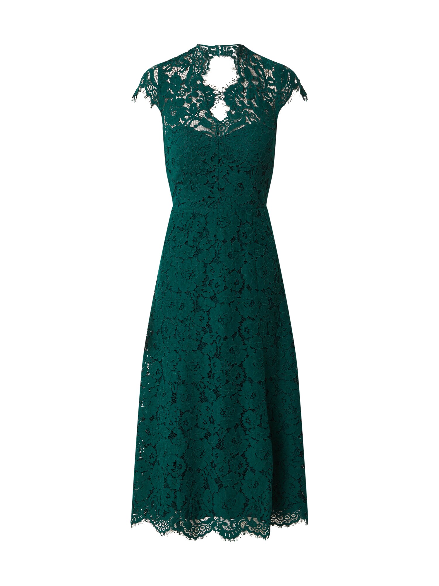 IVY & OAK Kokteilinė suknelė 'Lace'  tamsiai žalia