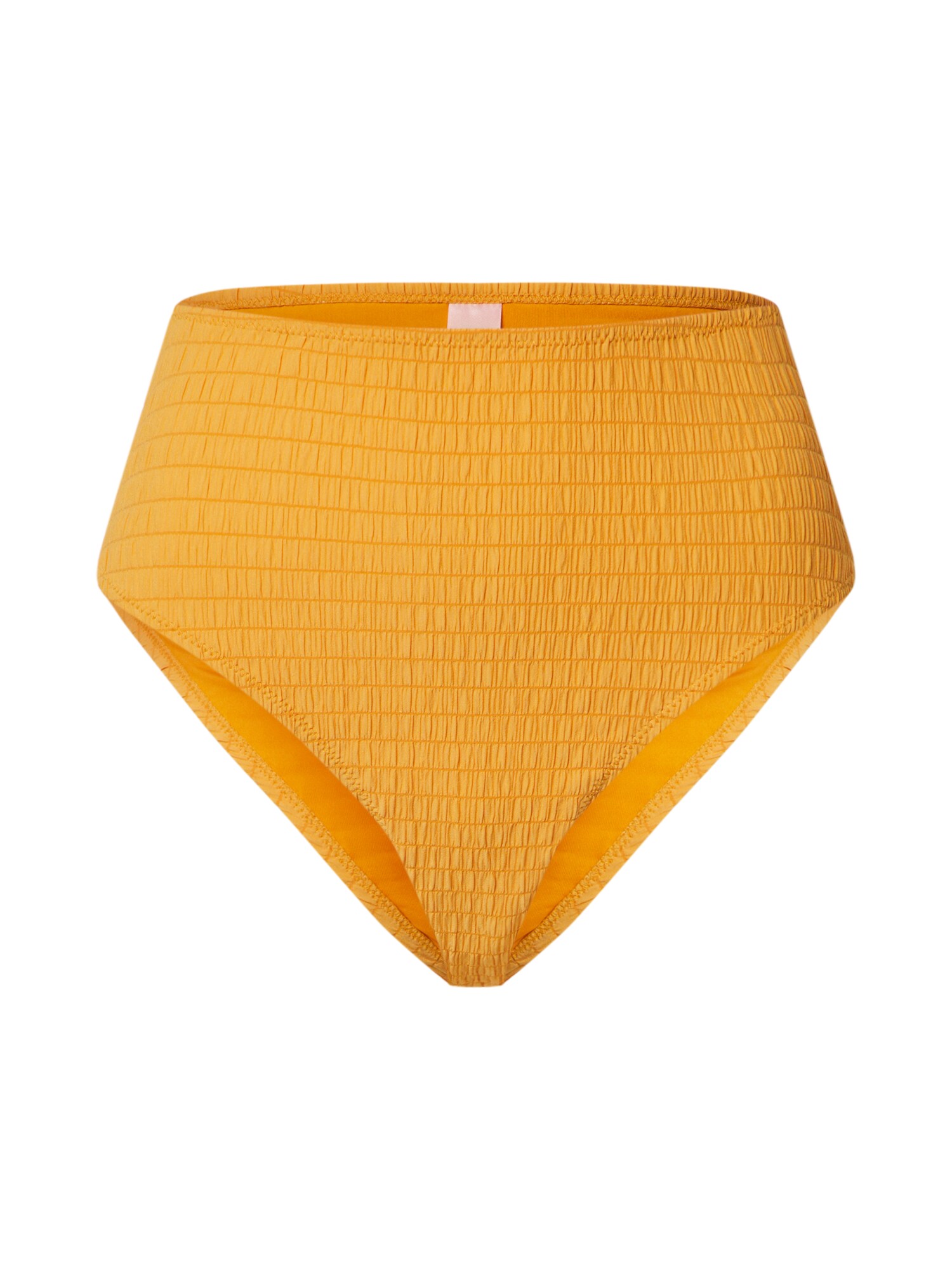 Hunkemöller Bikinio kelnaitės 'Goldenrod'  tamsiai geltona