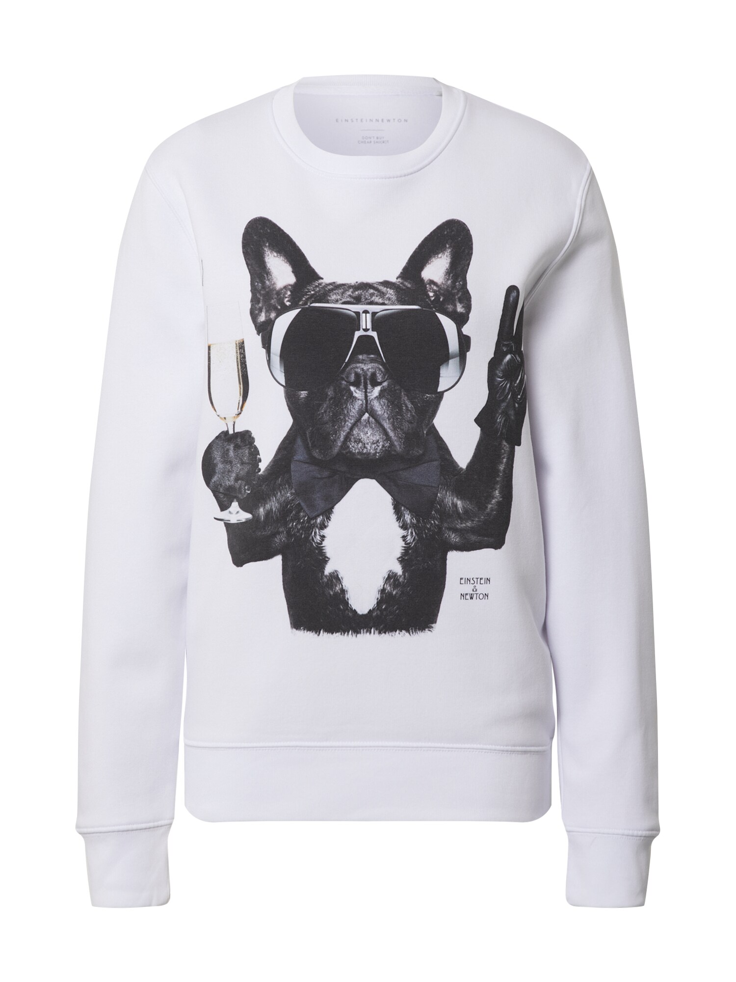 EINSTEIN & NEWTON Megztinis be užsegimo 'Champagne Dog'  juoda / margai pilka