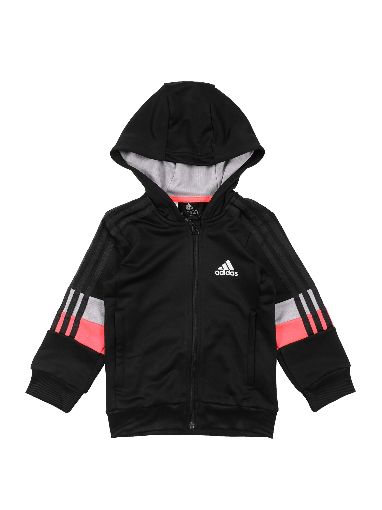 ADIDAS PERFORMANCE Sportinis džemperis 'B A.R.'  mišrios spalvos / juoda
