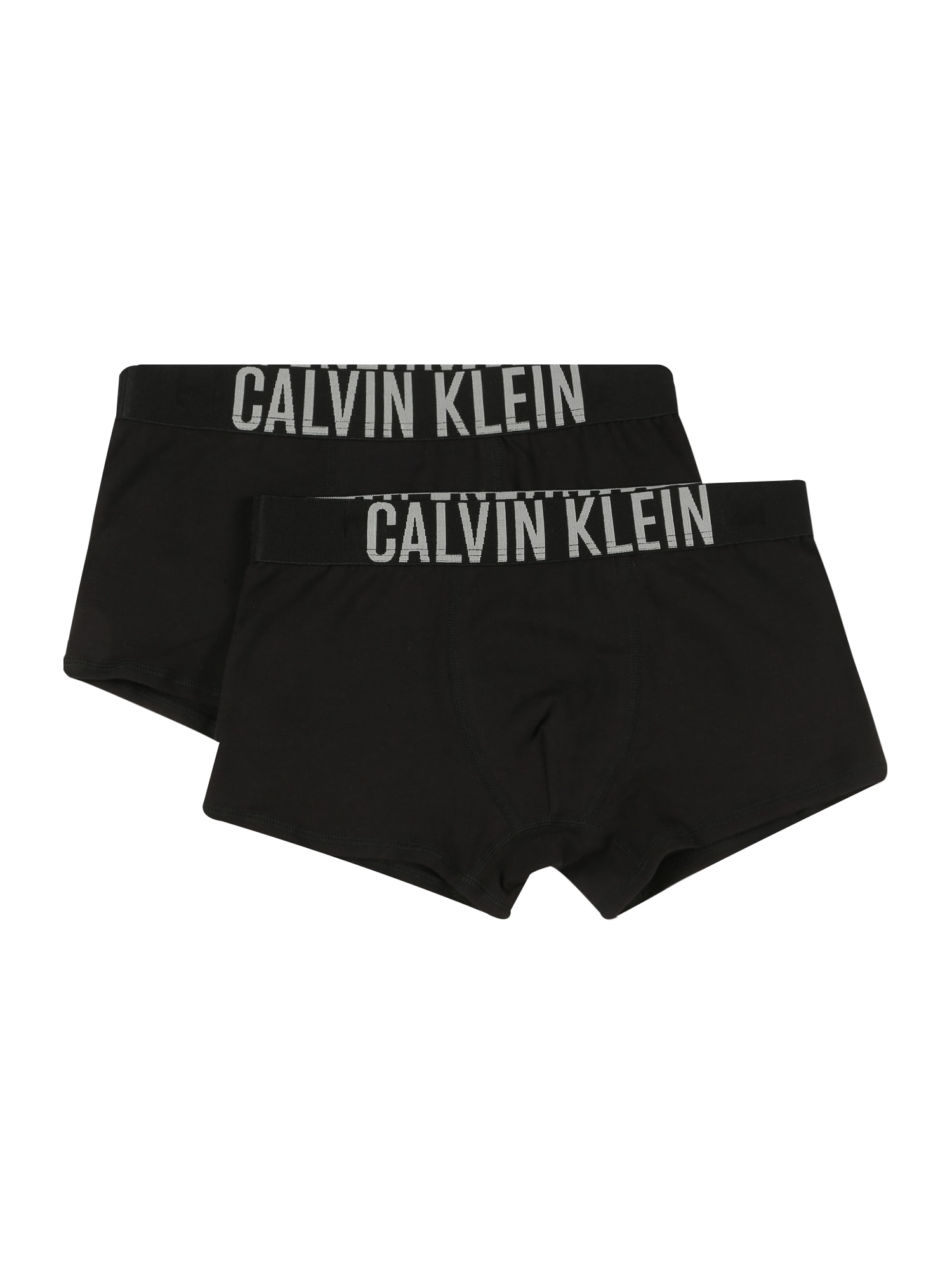 Calvin Klein Underwear Apatinės kelnaitės juoda / balta