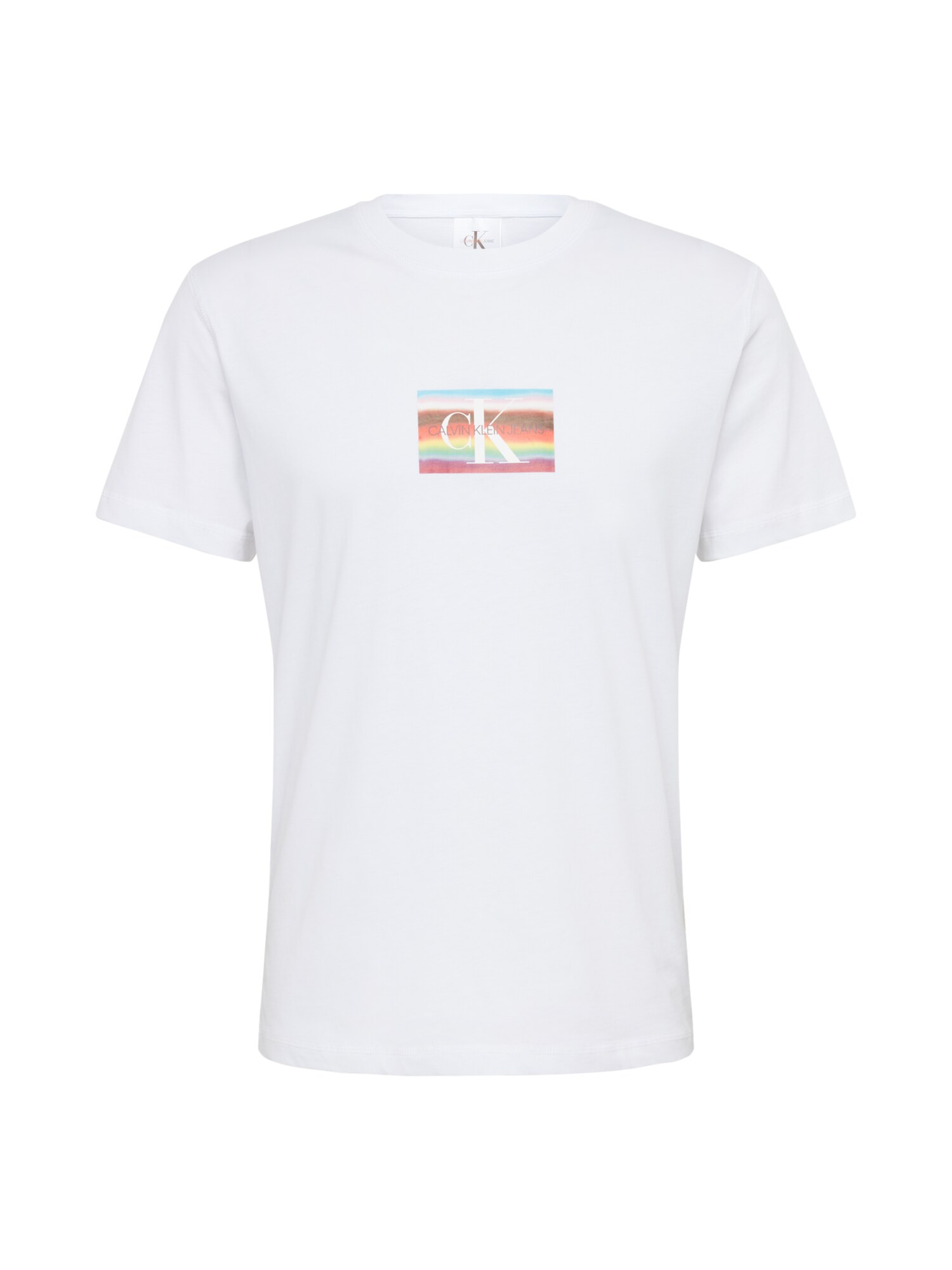 Calvin Klein Jeans Marškinėliai 'PRIDE MULTI LOGO REGULAR SS TEE'  mišrios spalvos / balta