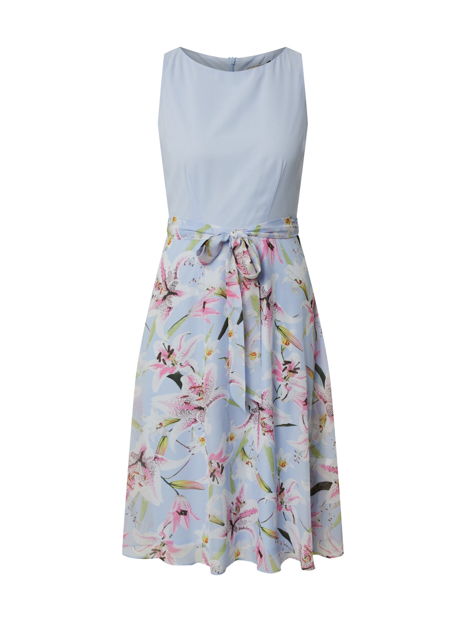 Dorothy Perkins Suknelė 'Blue Floral'  rožių spalva / šviesiai mėlyna
