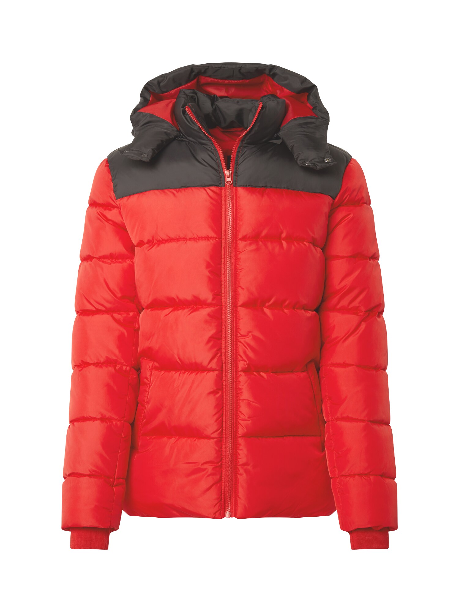 Only Sons Heren Tussenjas Rood only sons kopen in de aanbieding