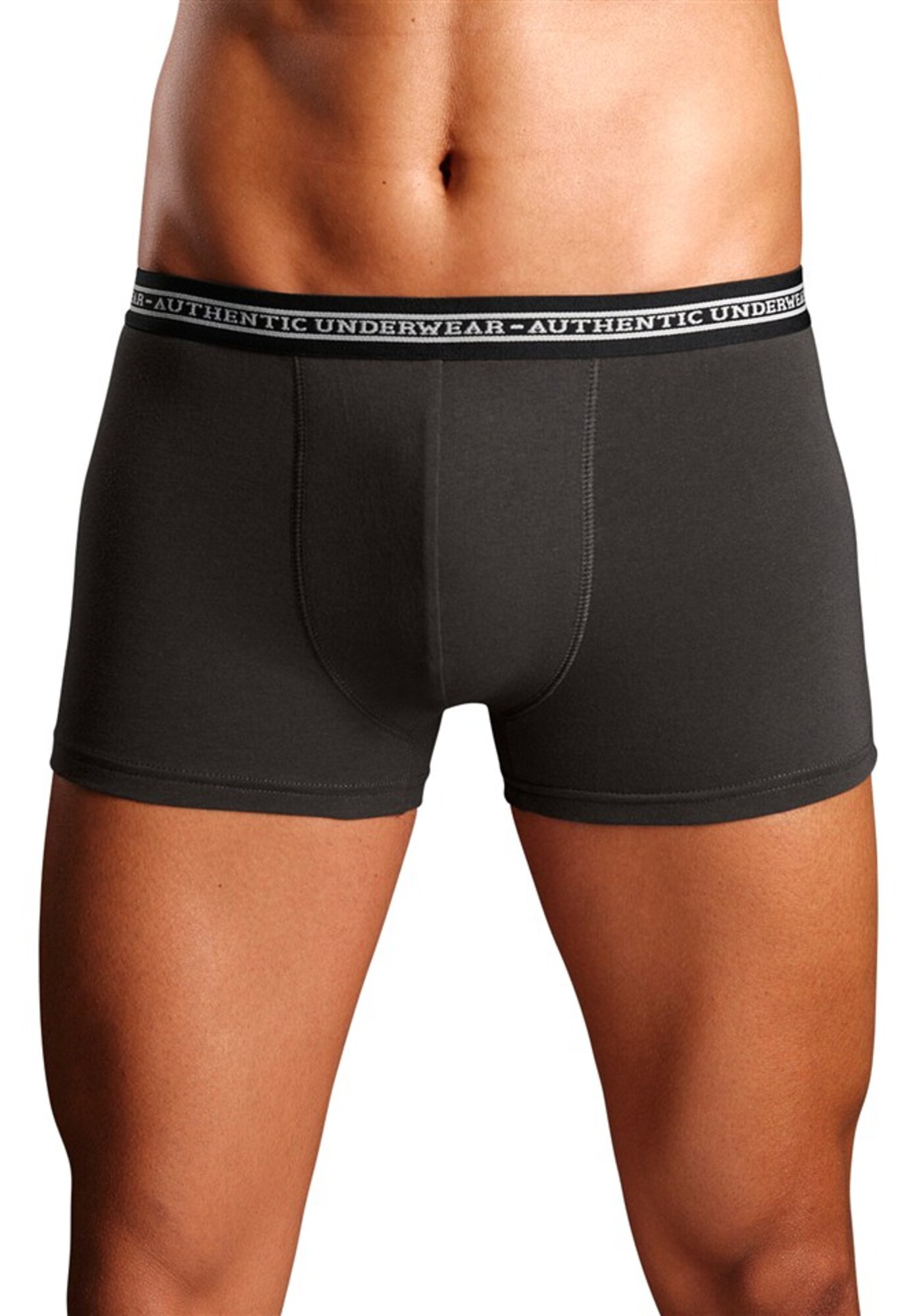 AUTHENTIC UNDERWEAR Boxerky svetlosivá / tmavosivá / biela (obrázok 3)