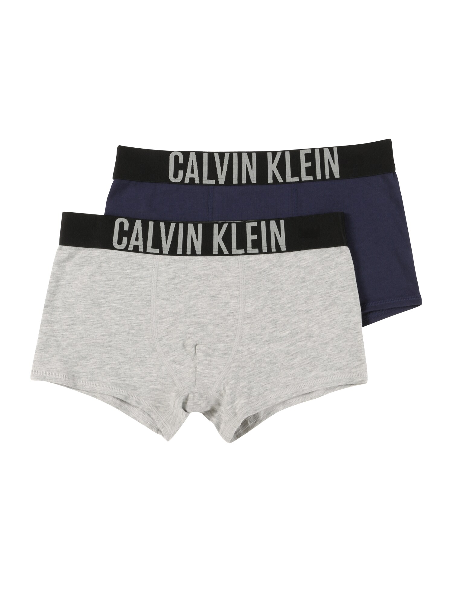 Calvin Klein Underwear Apatinės kelnaitės  mėlyna / pilka