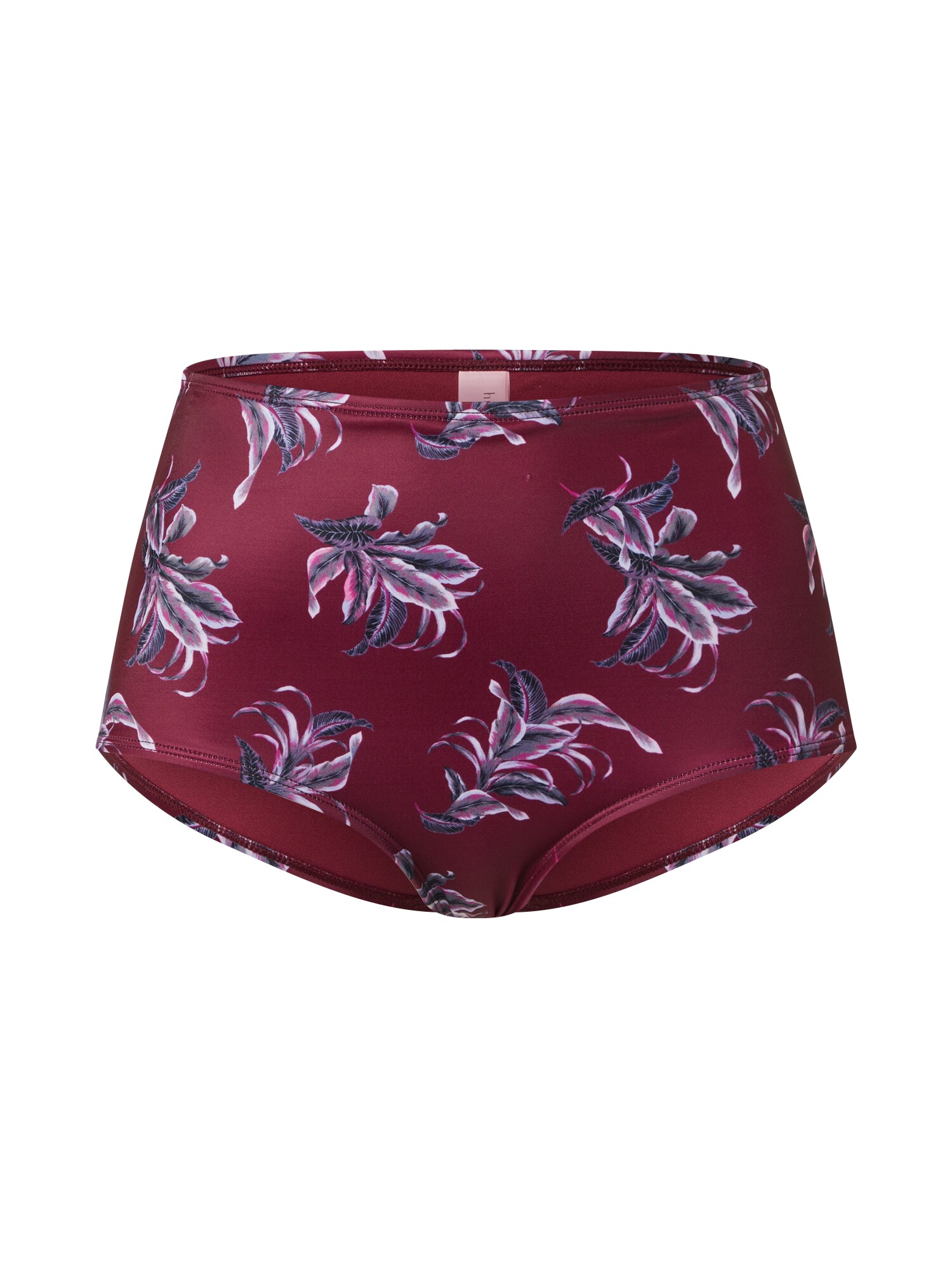 Hunkemöller Kelnaitės paaukštintu liemeniu  kraujo spalva / mišrios spalvos