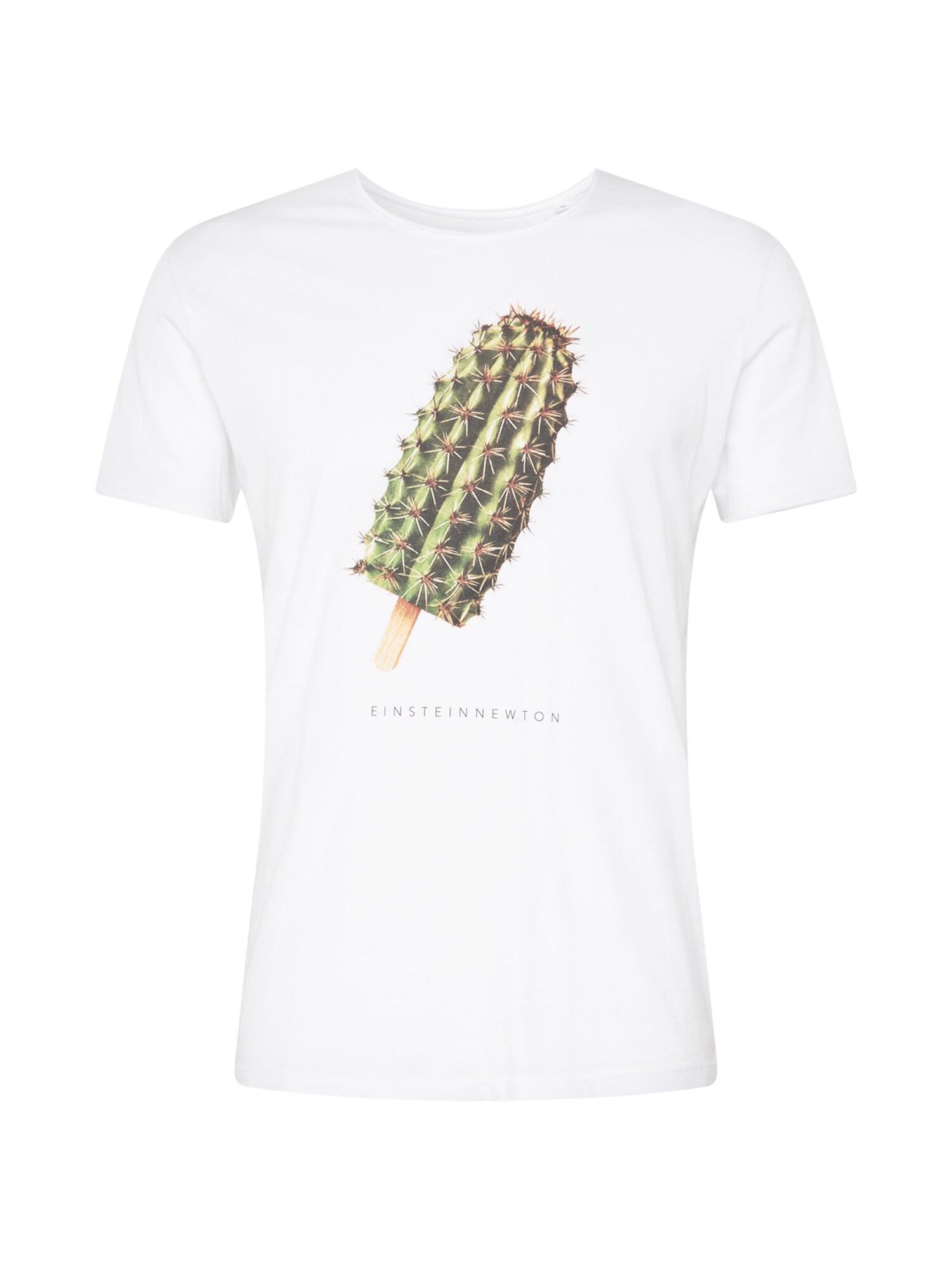 EINSTEIN & NEWTON Marškinėliai 'Cactus Ice'  žalia / juoda / balta / ruda