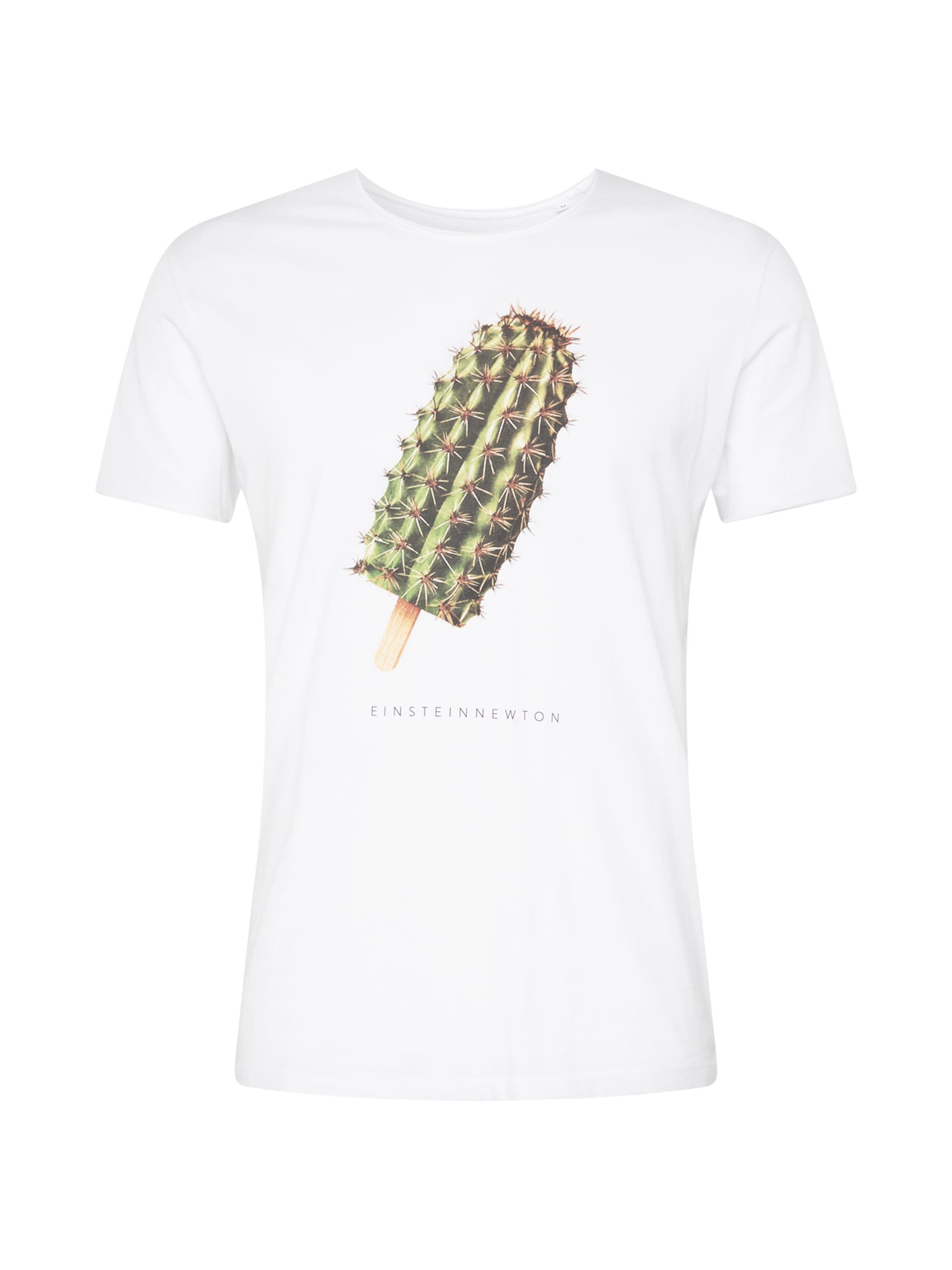 EINSTEIN & NEWTON Marškinėliai 'Cactus Ice' ruda / žalia / juoda / balta