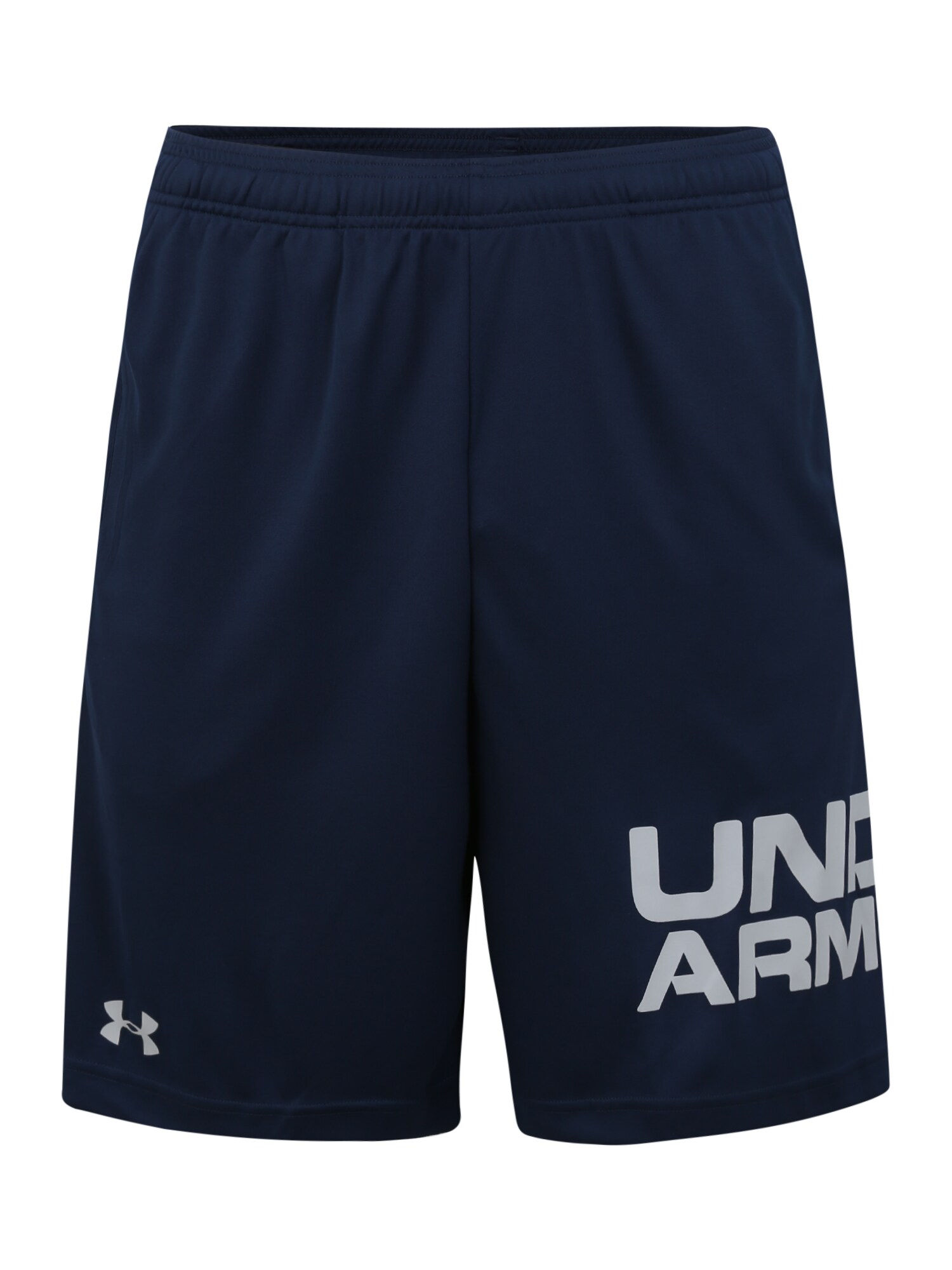 UNDER ARMOUR Sportinės kelnės  pilka / tamsiai mėlyna