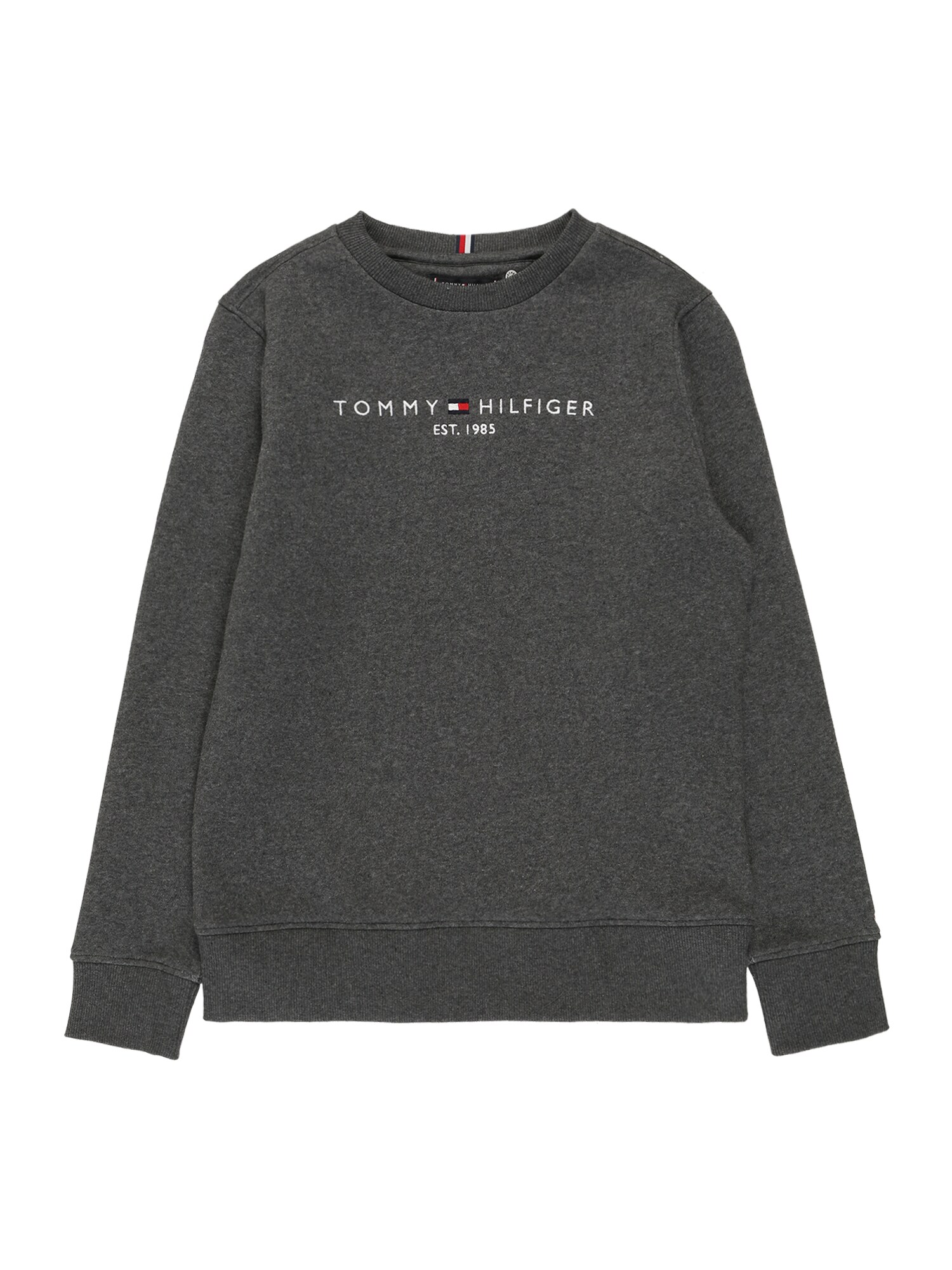 TOMMY HILFIGER Megztinis be užsegimo  mišrios spalvos / tamsiai pilka