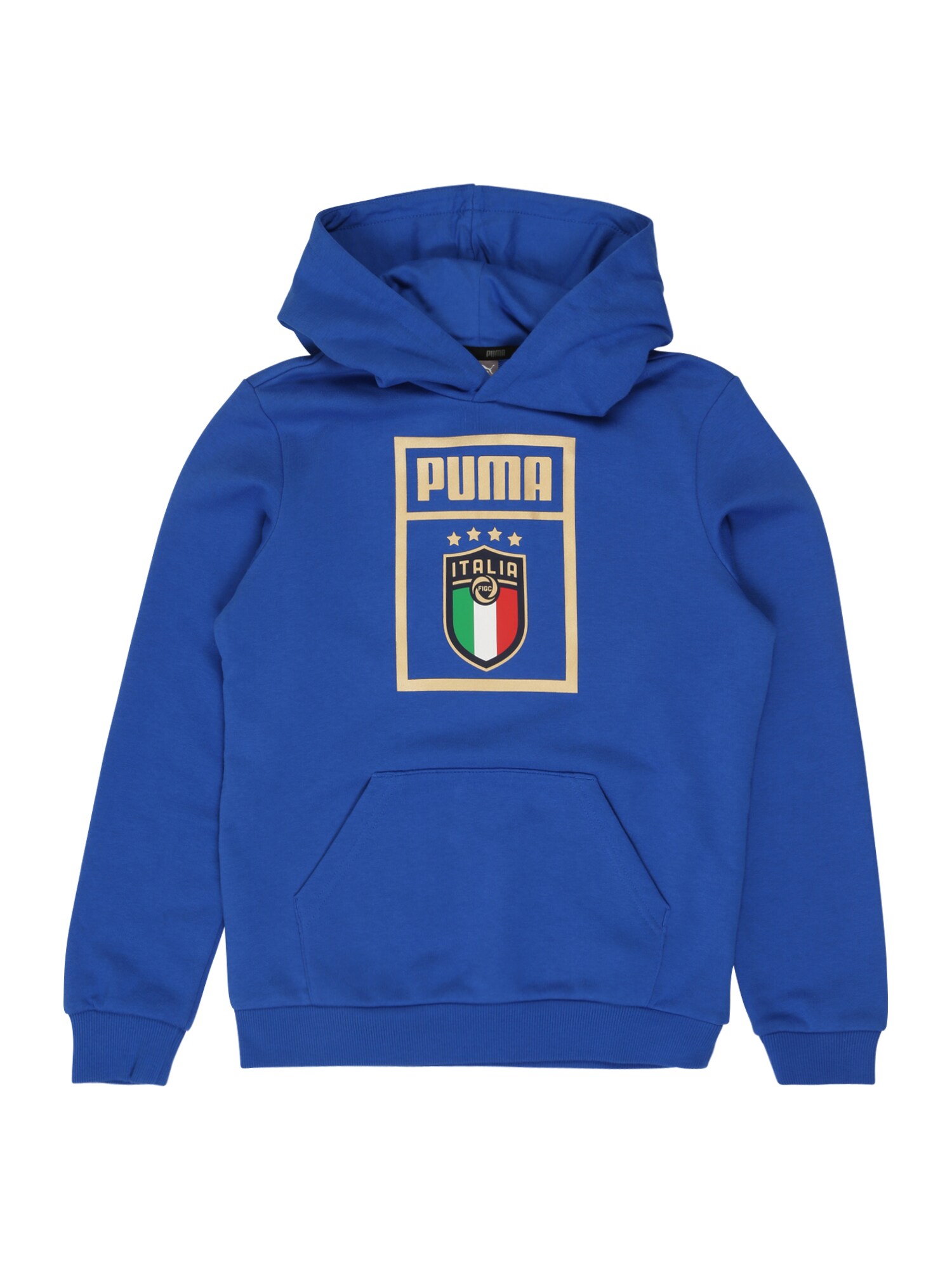 PUMA Megztinis be užsegimo 'FIGC PUMA DNA Hoody Jr'  mėlyna