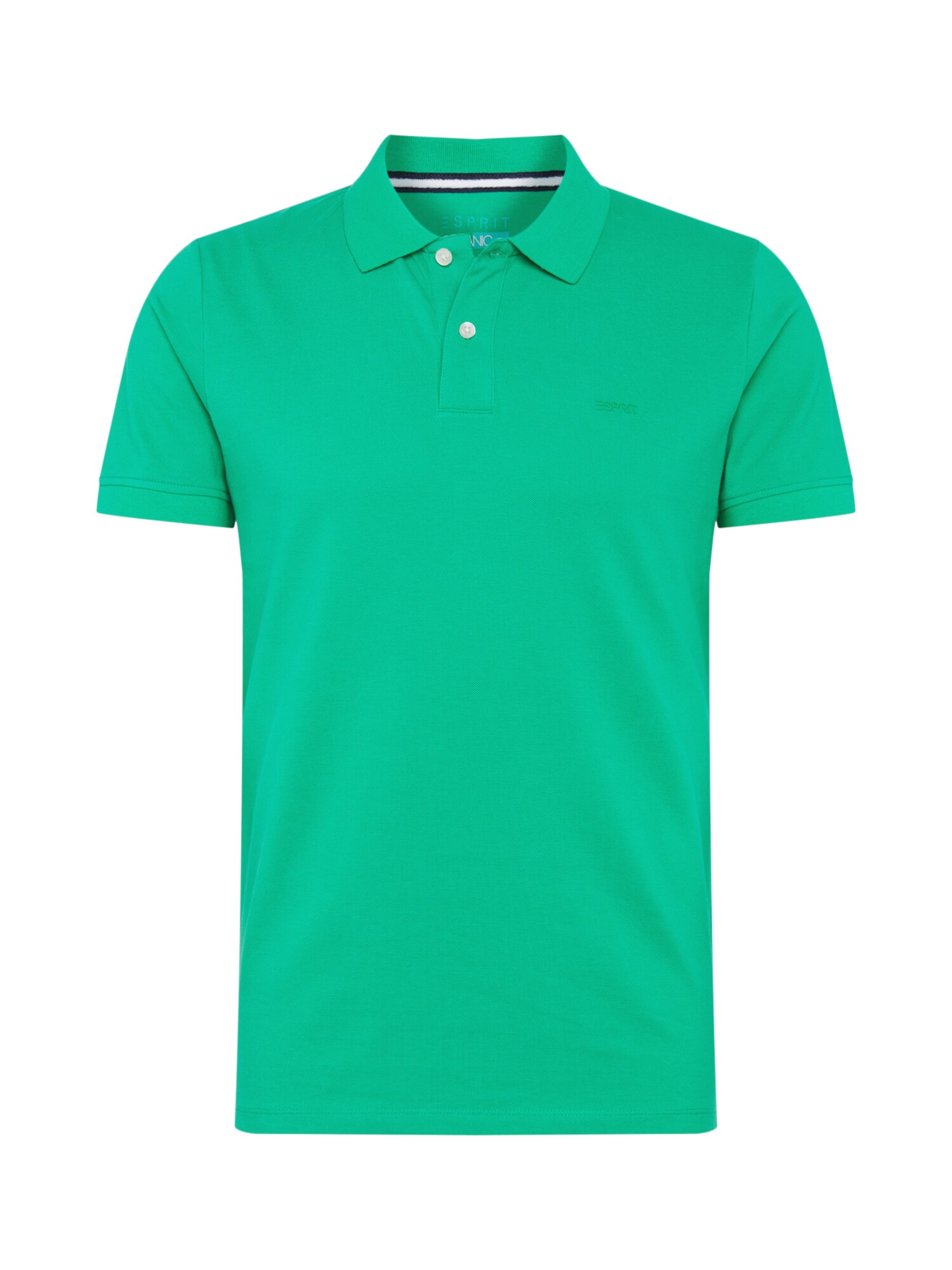 ESPRIT Poloshirt grün