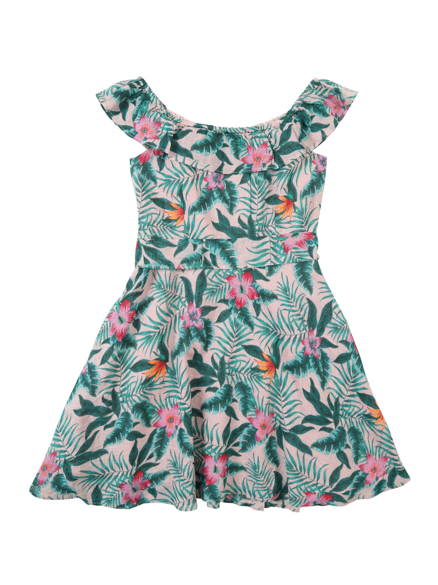 Pepe Jeans Meisjes Jurk Julia Groen Oudroze pepe jeans kopen in de aanbieding