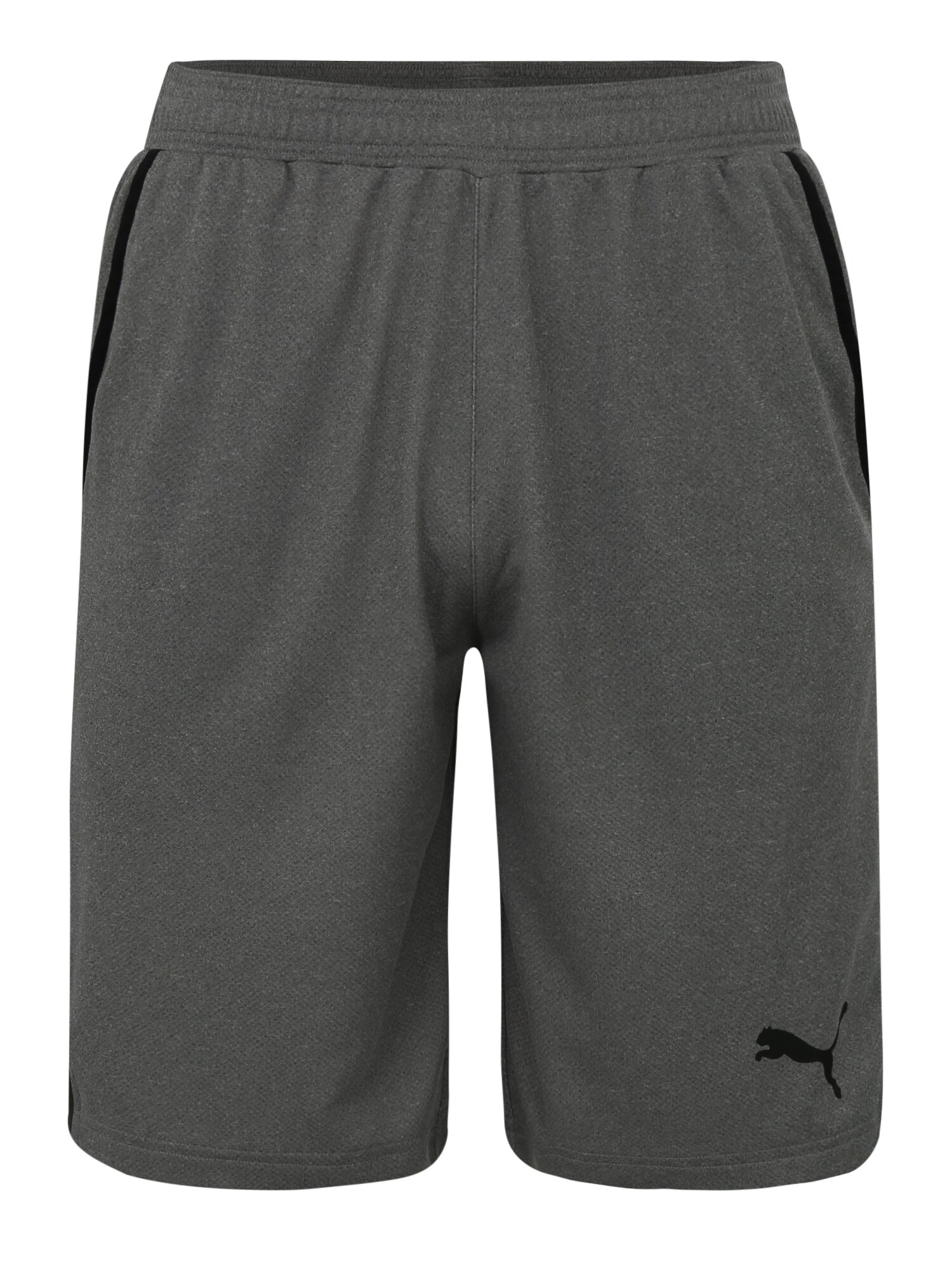 PUMA Sportinės kelnės 'RTG Interlock Shorts 10`'  pilka