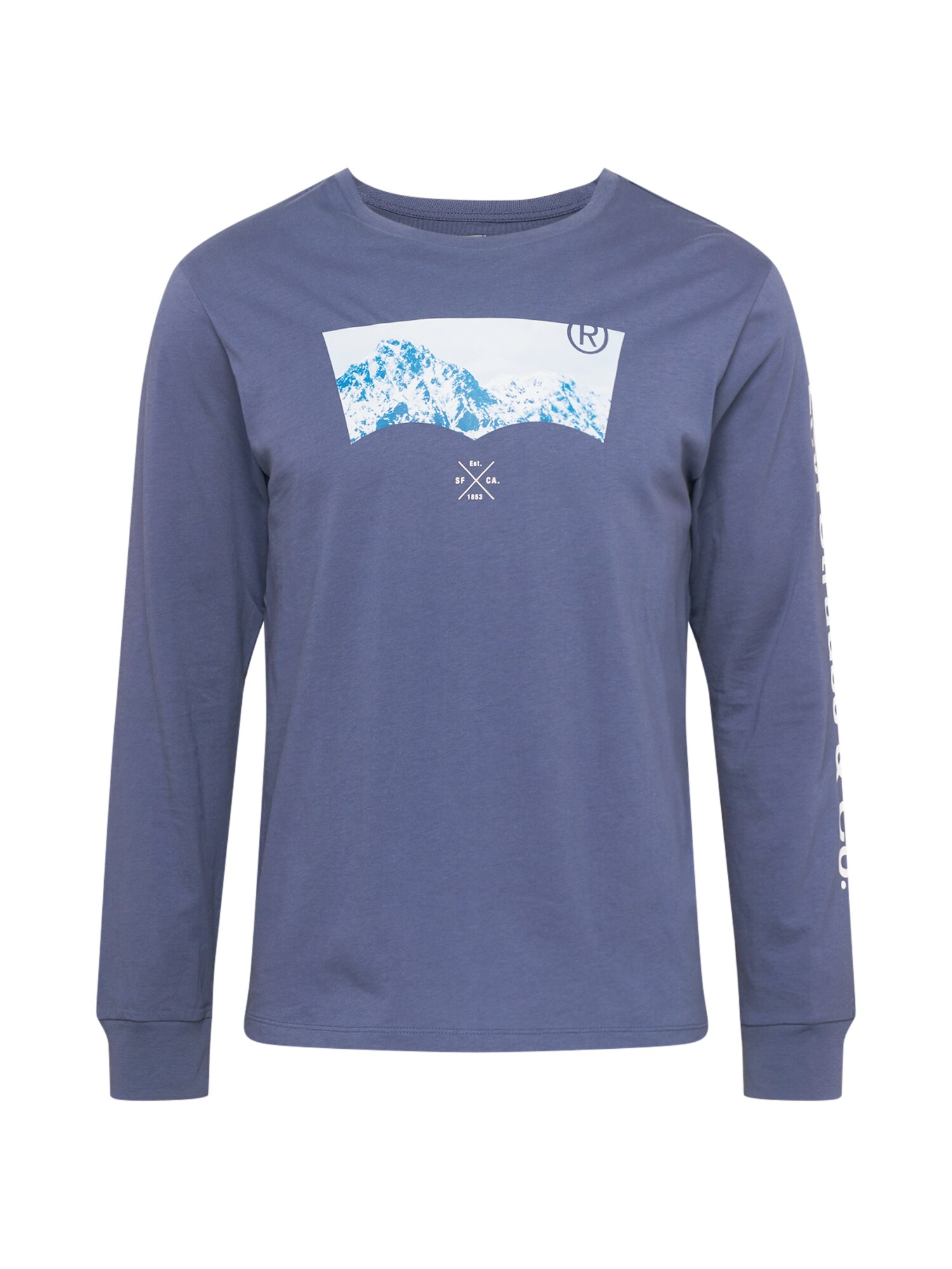 LEVI'S Marškinėliai  šviesiai mėlyna / sodri mėlyna („karališka“) / balta