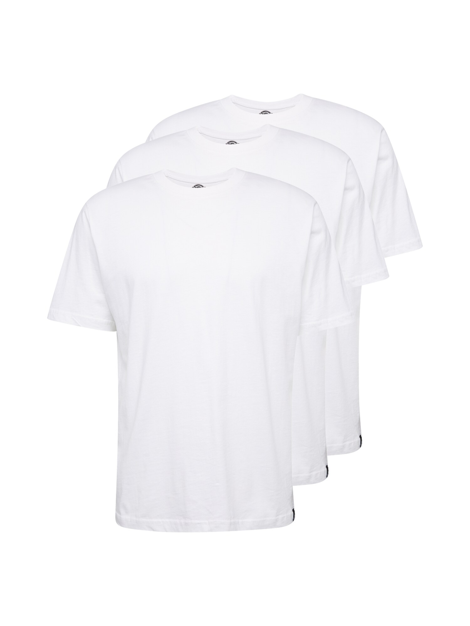DICKIES Marškinėliai  balta