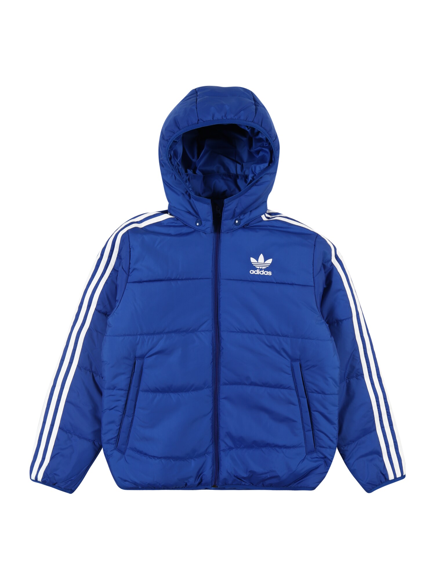 ADIDAS ORIGINALS Žieminė striukė  mėlyna / balta