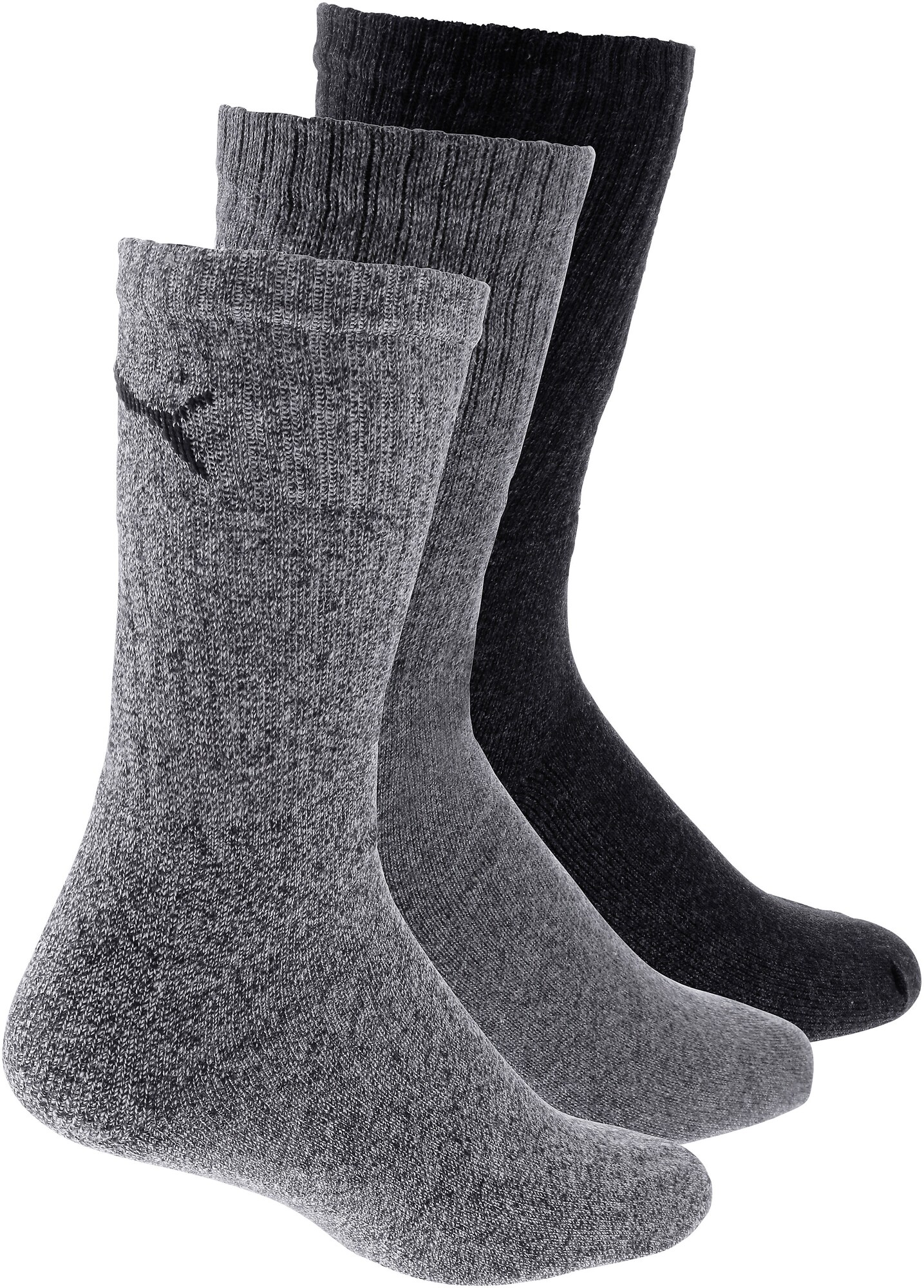 Puma Calcetines Sport 3 Pares