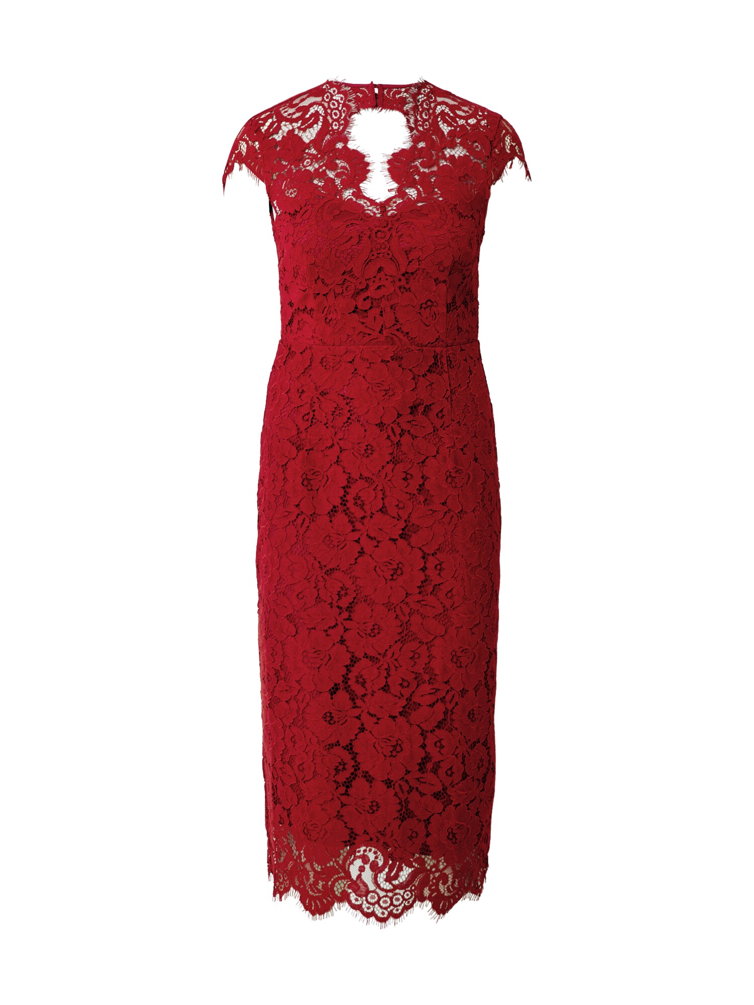 IVY & OAK Vestido  vermelho ferrugem