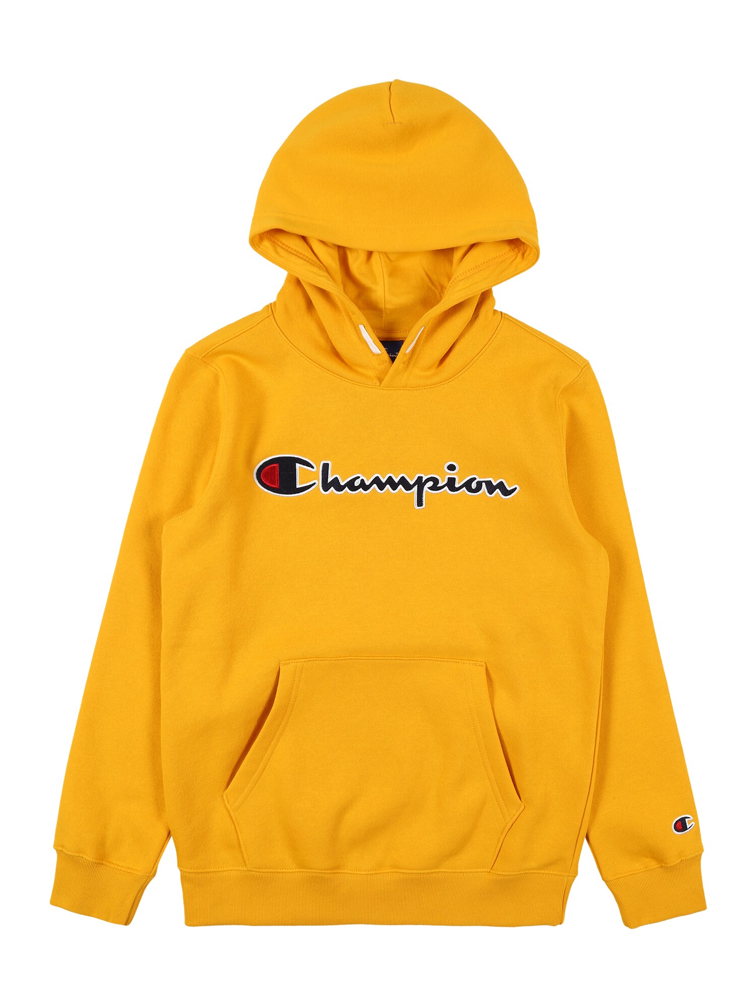 Champion Authentic Athletic Apparel Megztinis be užsegimo  kario spalva
