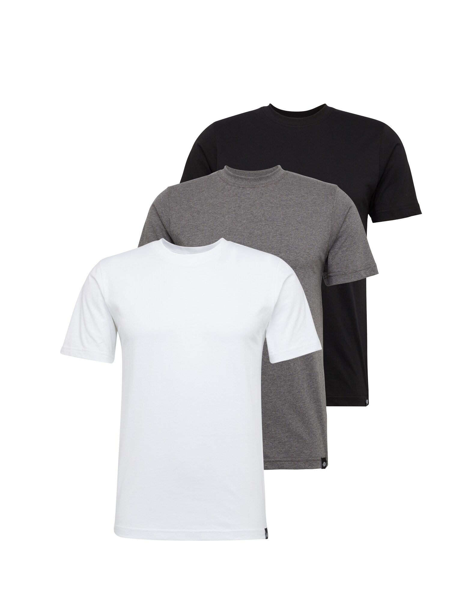 DICKIES Marškinėliai  pilka / juoda / balta
