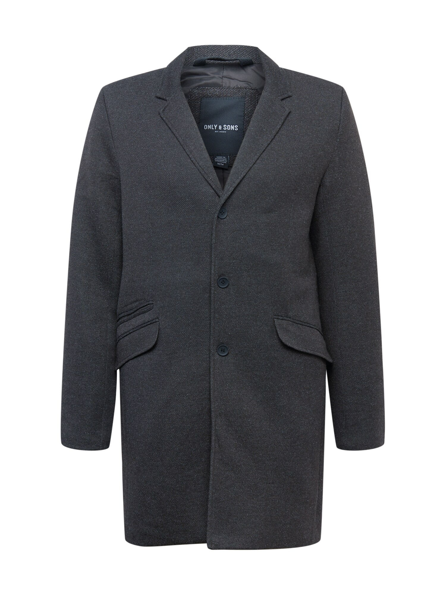 Only & Sons Rudeninis-žieminis paltas 'JULIAN KING'  margai juoda