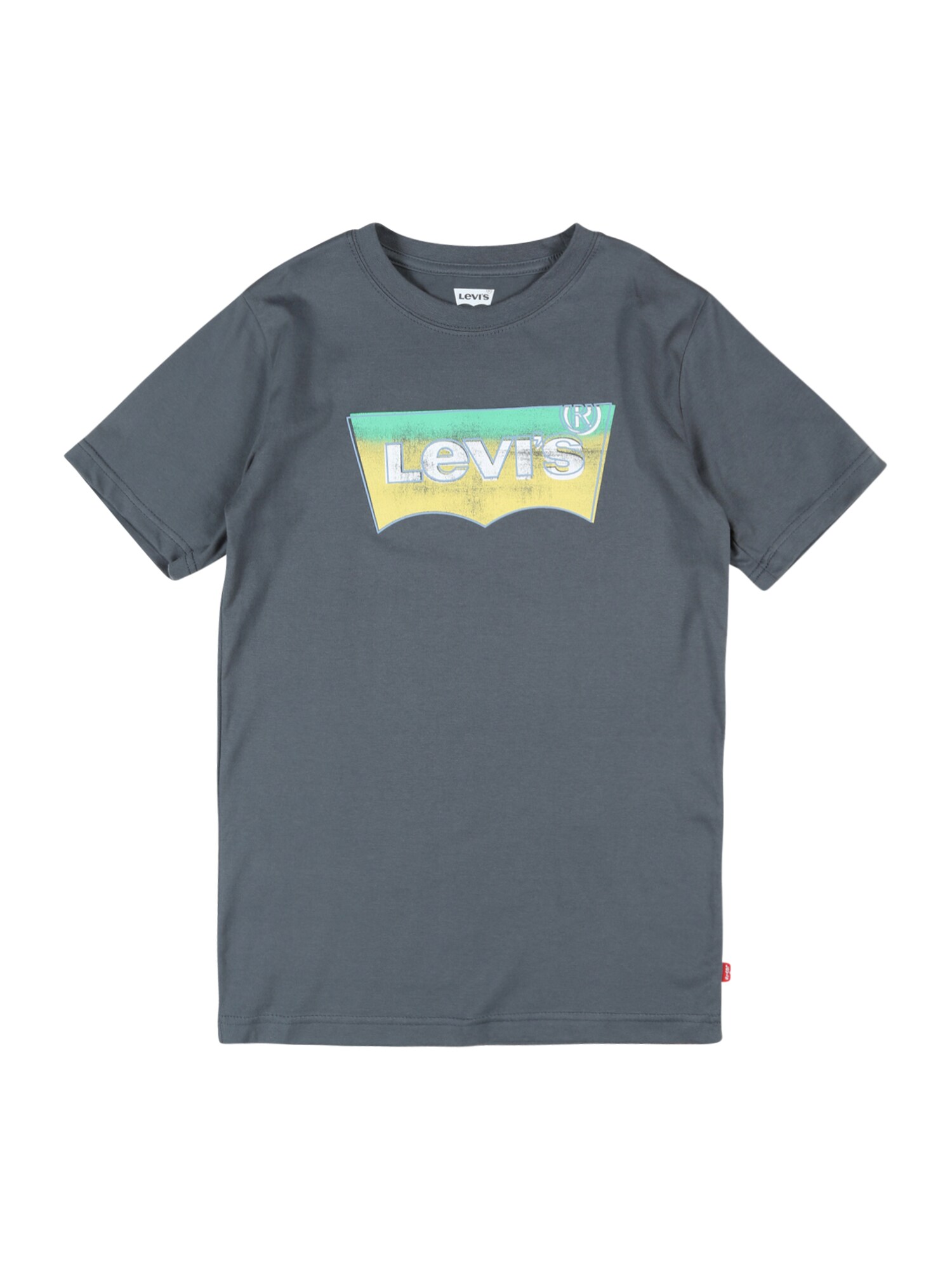 LEVI'S Marškinėliai 'Batwing'  pilka