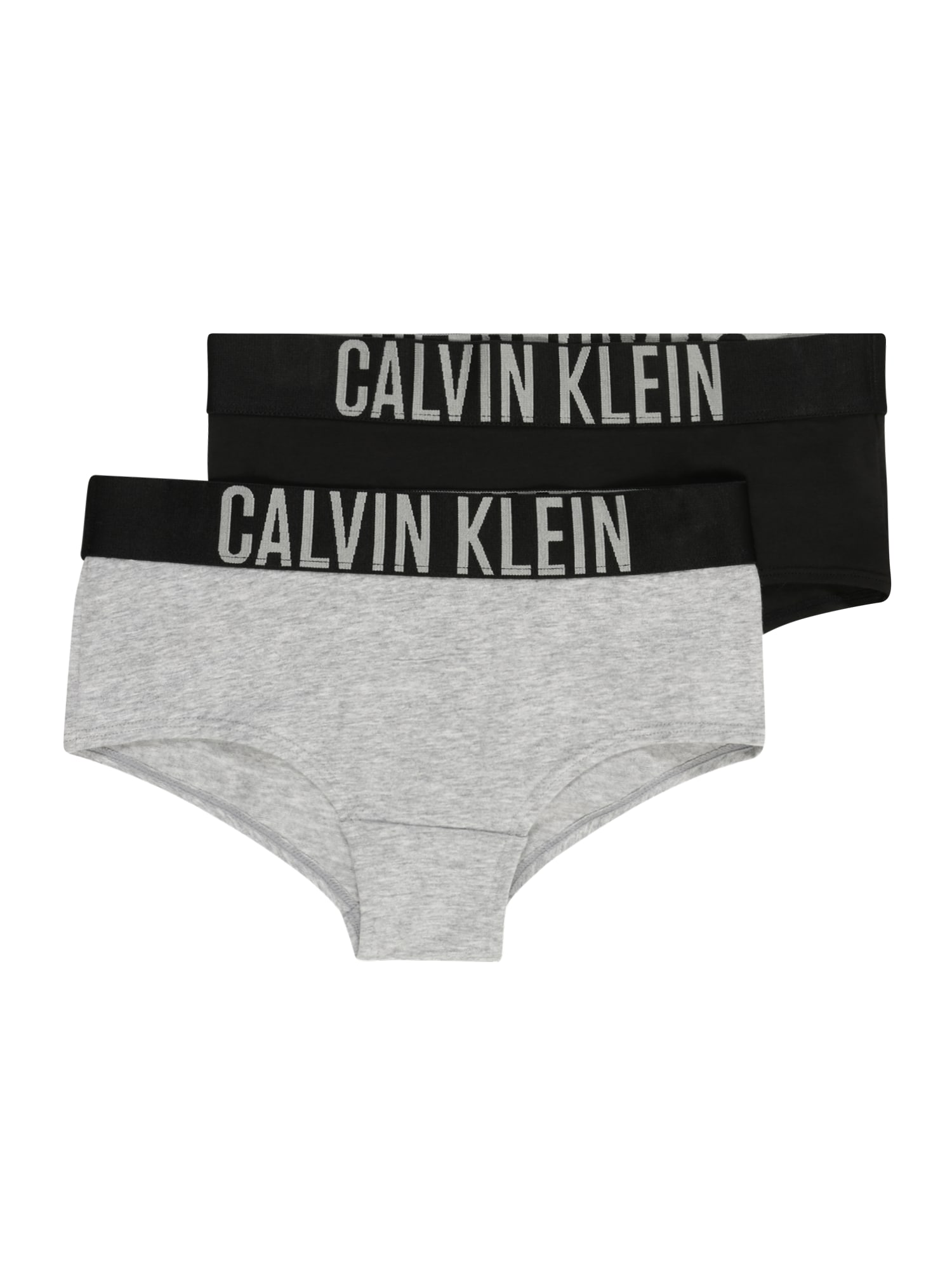 Calvin Klein Underwear Apatinės kelnaitės '2 PACK SHORTY' pilka / juoda