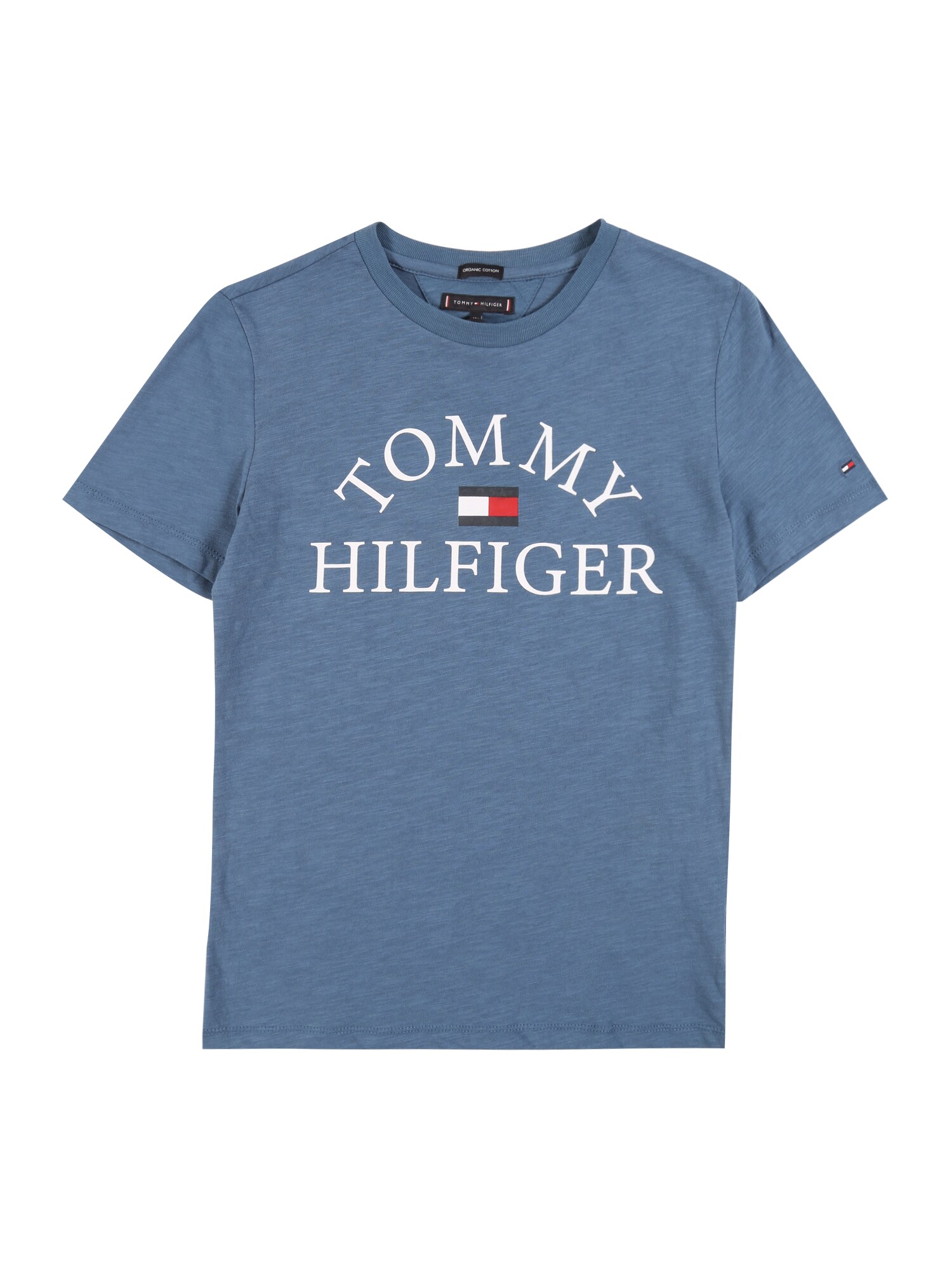 TOMMY HILFIGER Marškinėliai 'ESSENTIAL'  šviesiai mėlyna / mėlyna