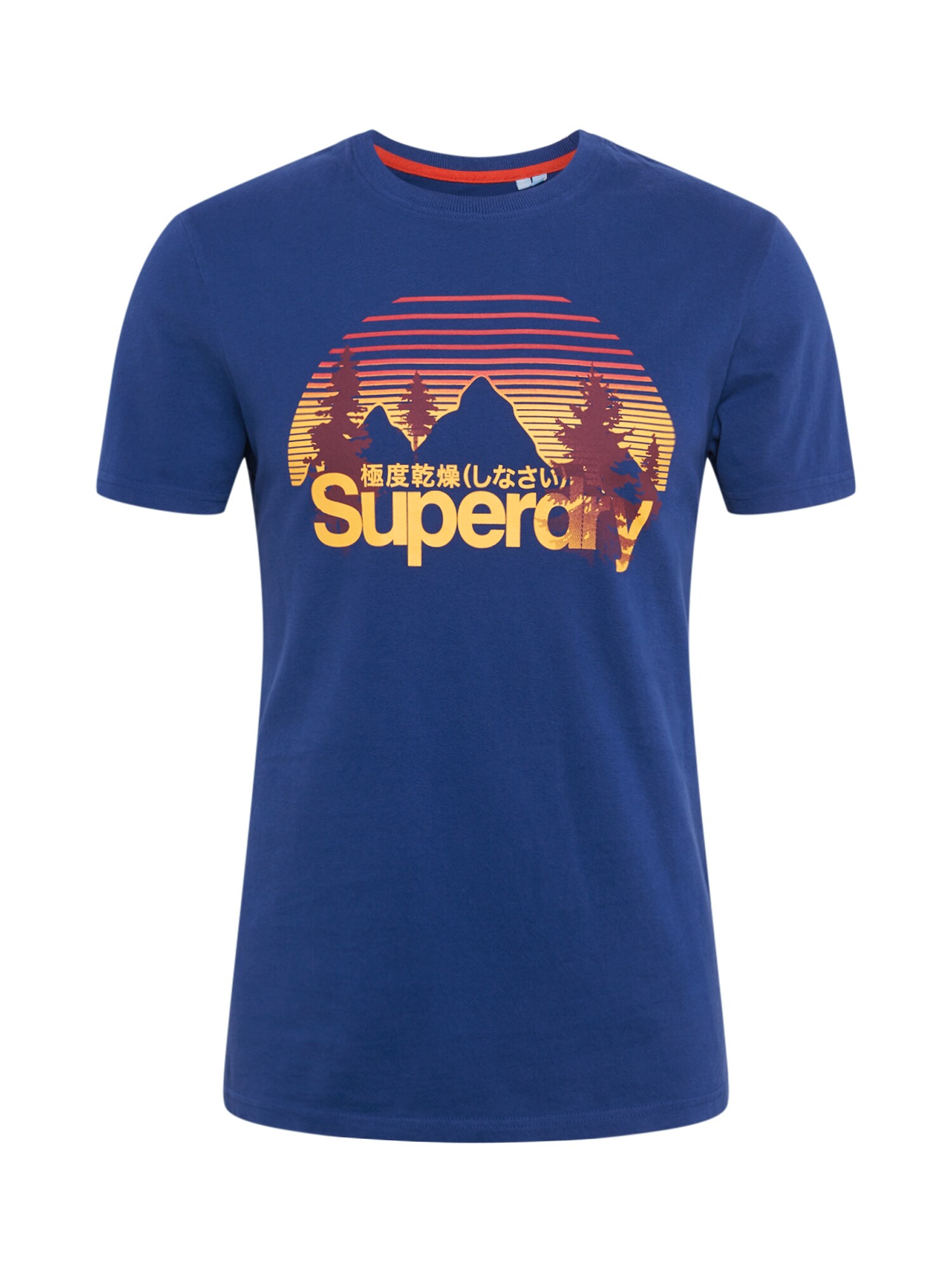 Superdry Marškinėliai  ruda / mėlyna / geltona