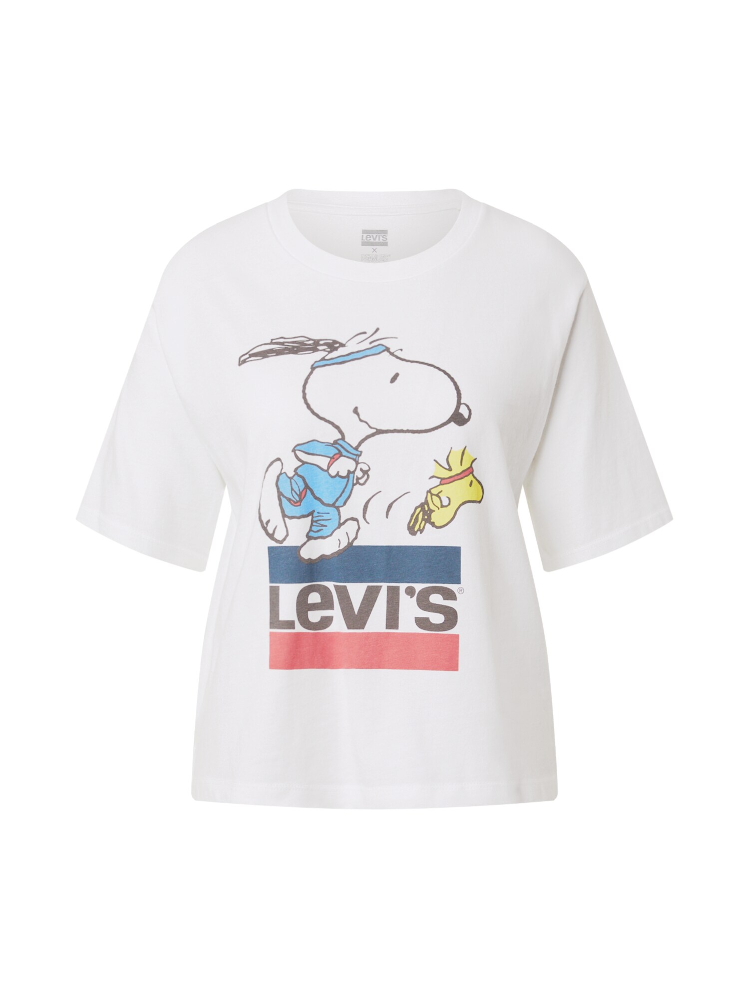 LEVI'S Marškinėliai 'GRAPHIC BOXY TEE'  mišrios spalvos