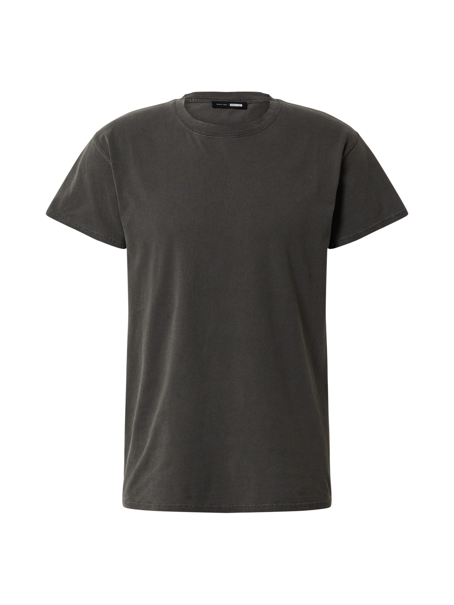 DAN FOX APPAREL Marškinėliai 'Luke'  antracito