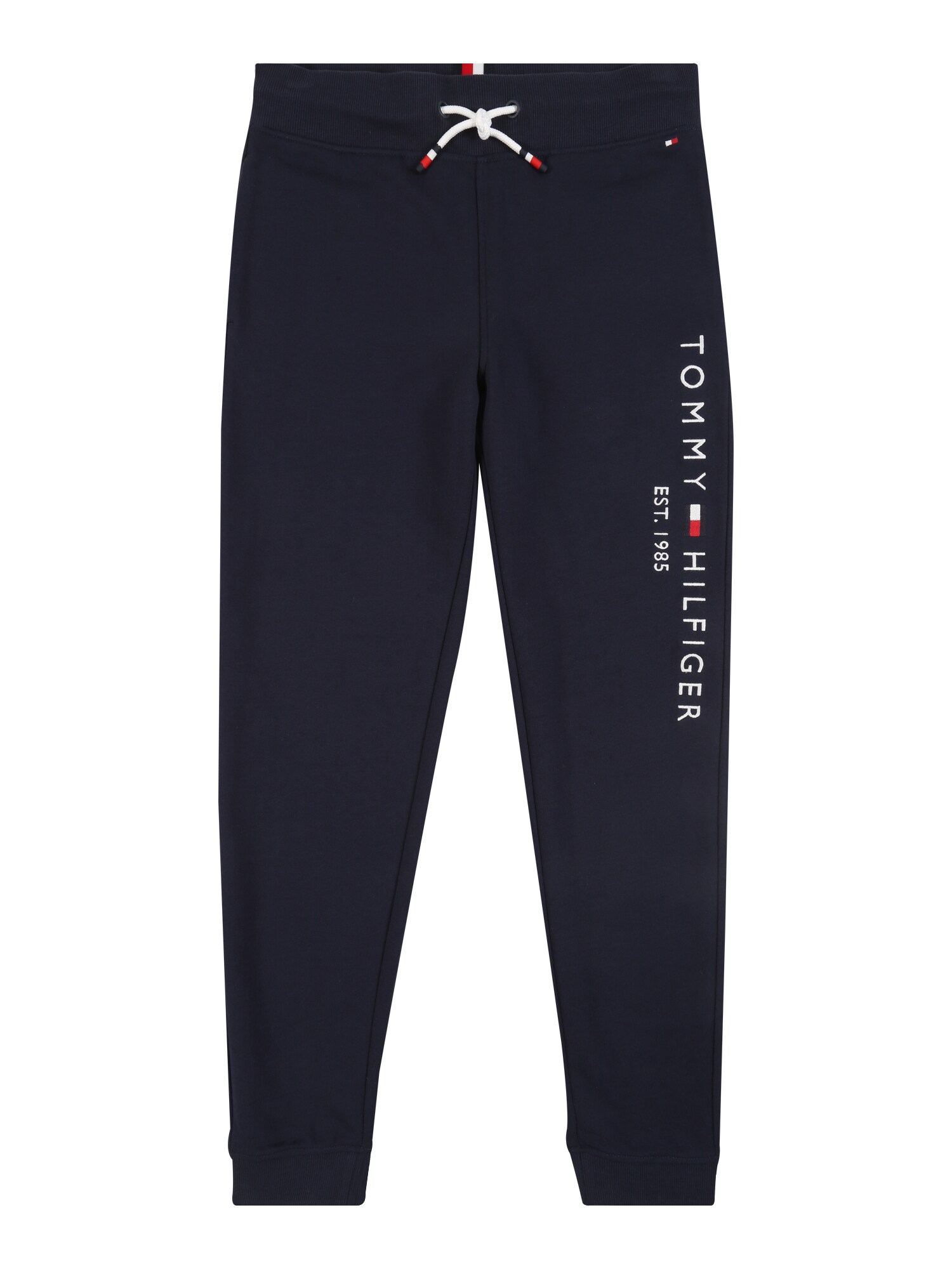 TOMMY HILFIGER Kelnės 'ESSENTIAL'  tamsiai mėlyna