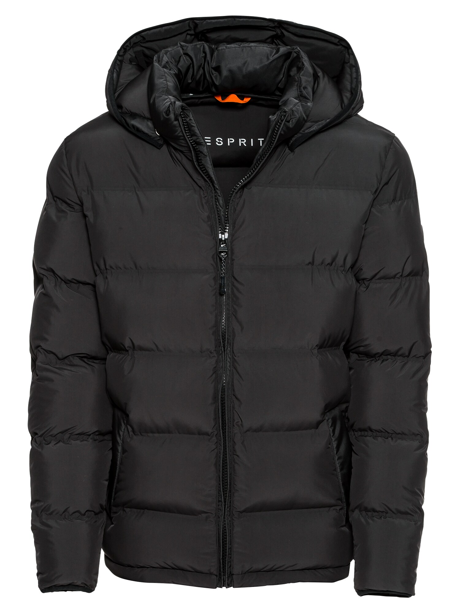 Esprit Heren Tussenjas Quiltthinsulat Zwart esprit kopen in de aanbieding
