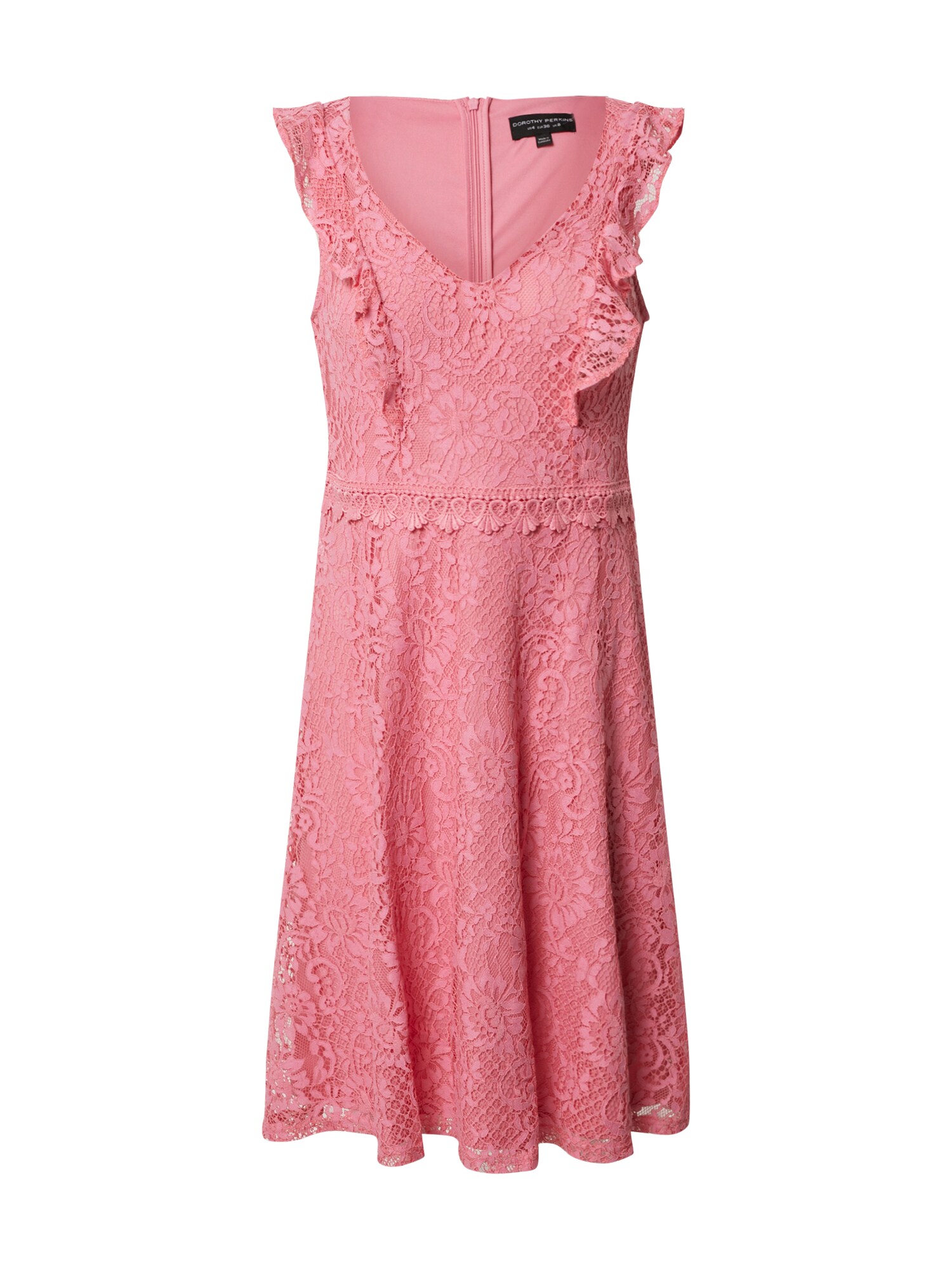Dorothy Perkins Kokteilinė suknelė 'LACE TAYLOR'  rožių spalva
