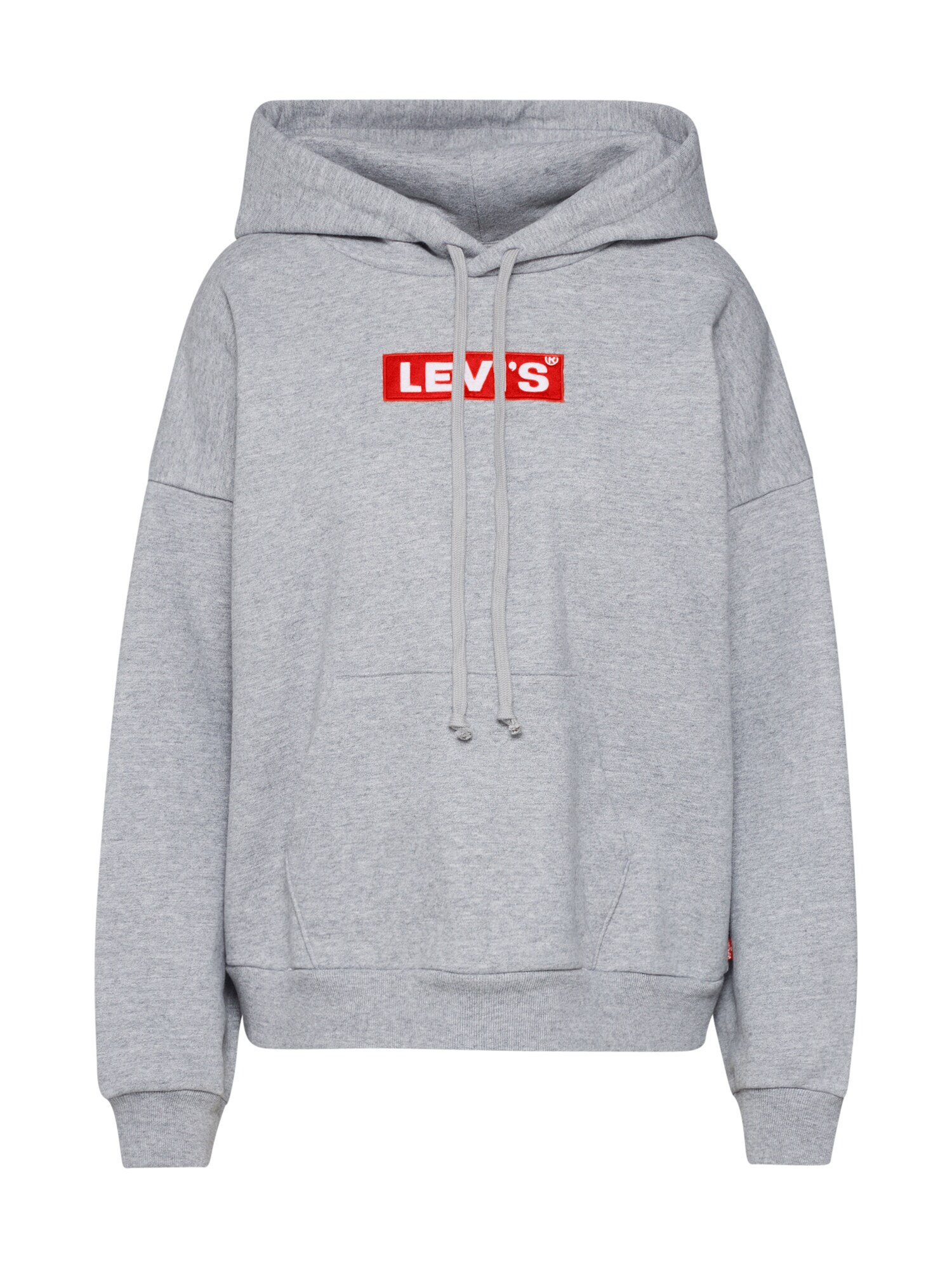 LEVI'S Megztinis be užsegimo 'GRAPHIC 2020 HOODIE'  pilka