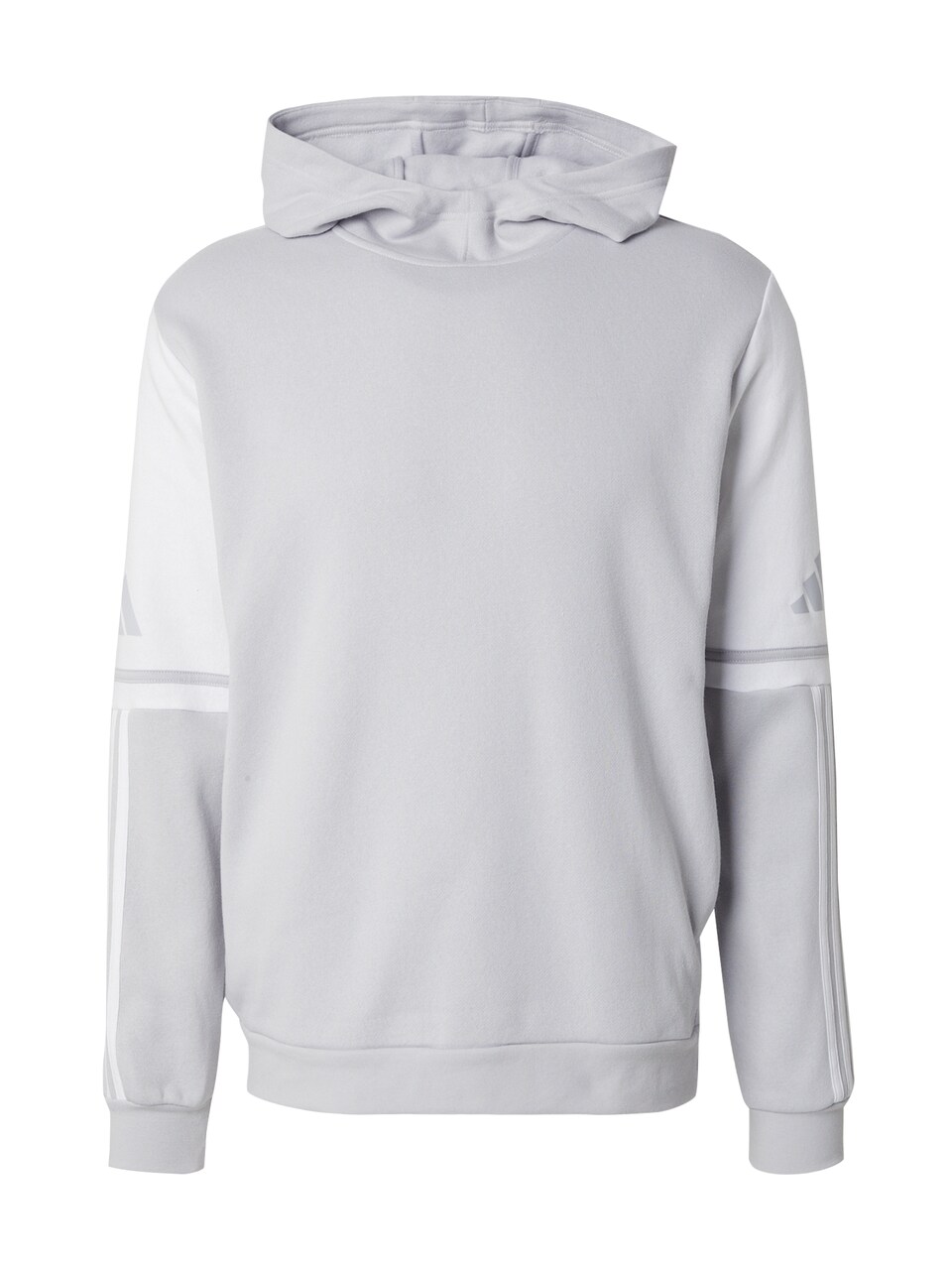 Sport sweatshirt 'Squadra 25'
