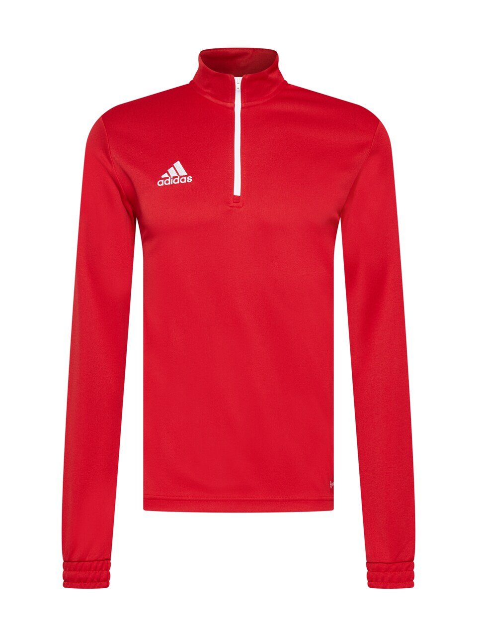 Sport sweatshirt 'Entrada 22 '