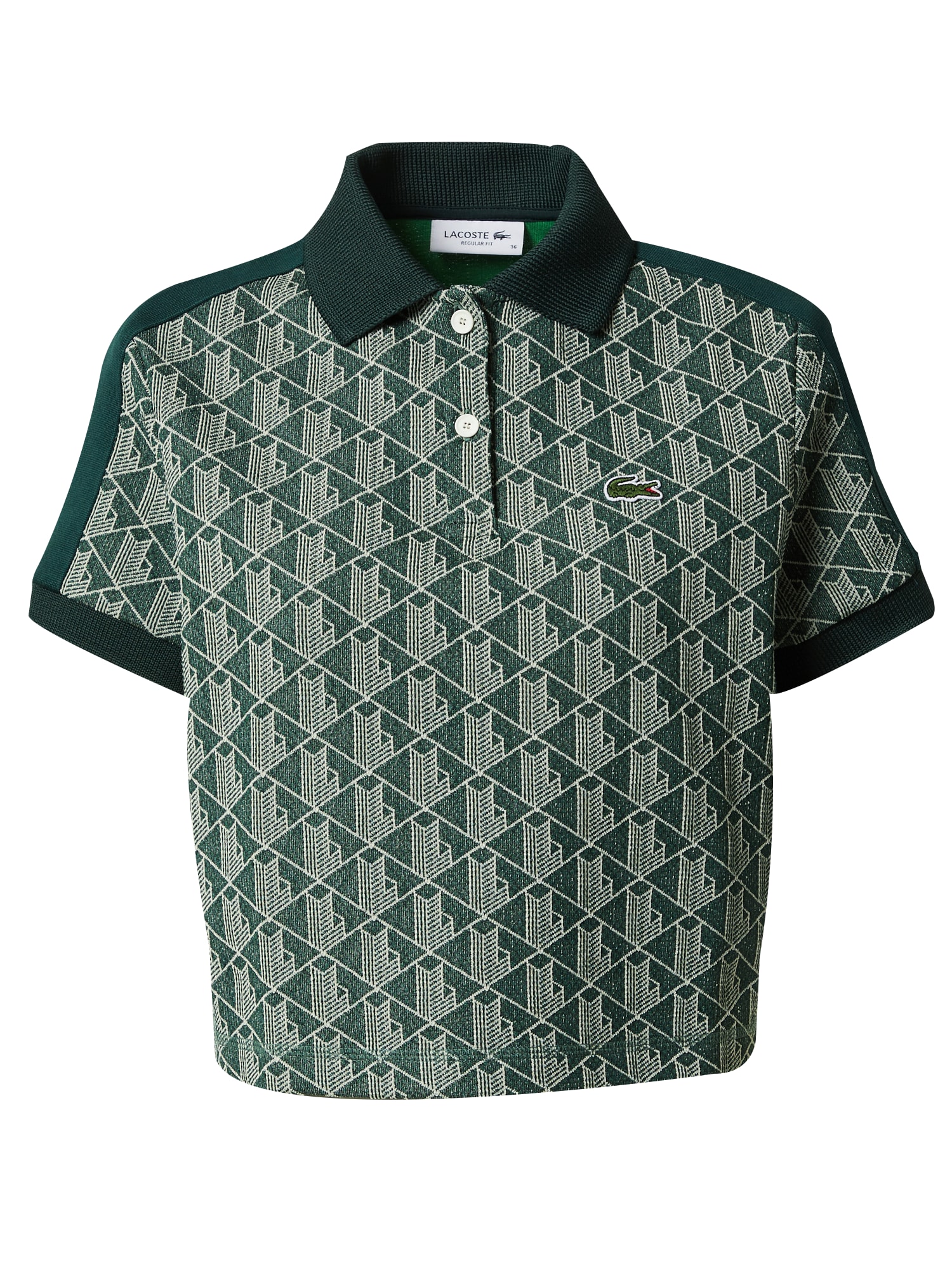 Lacoste LACOSTE Poloshirt creme / grün