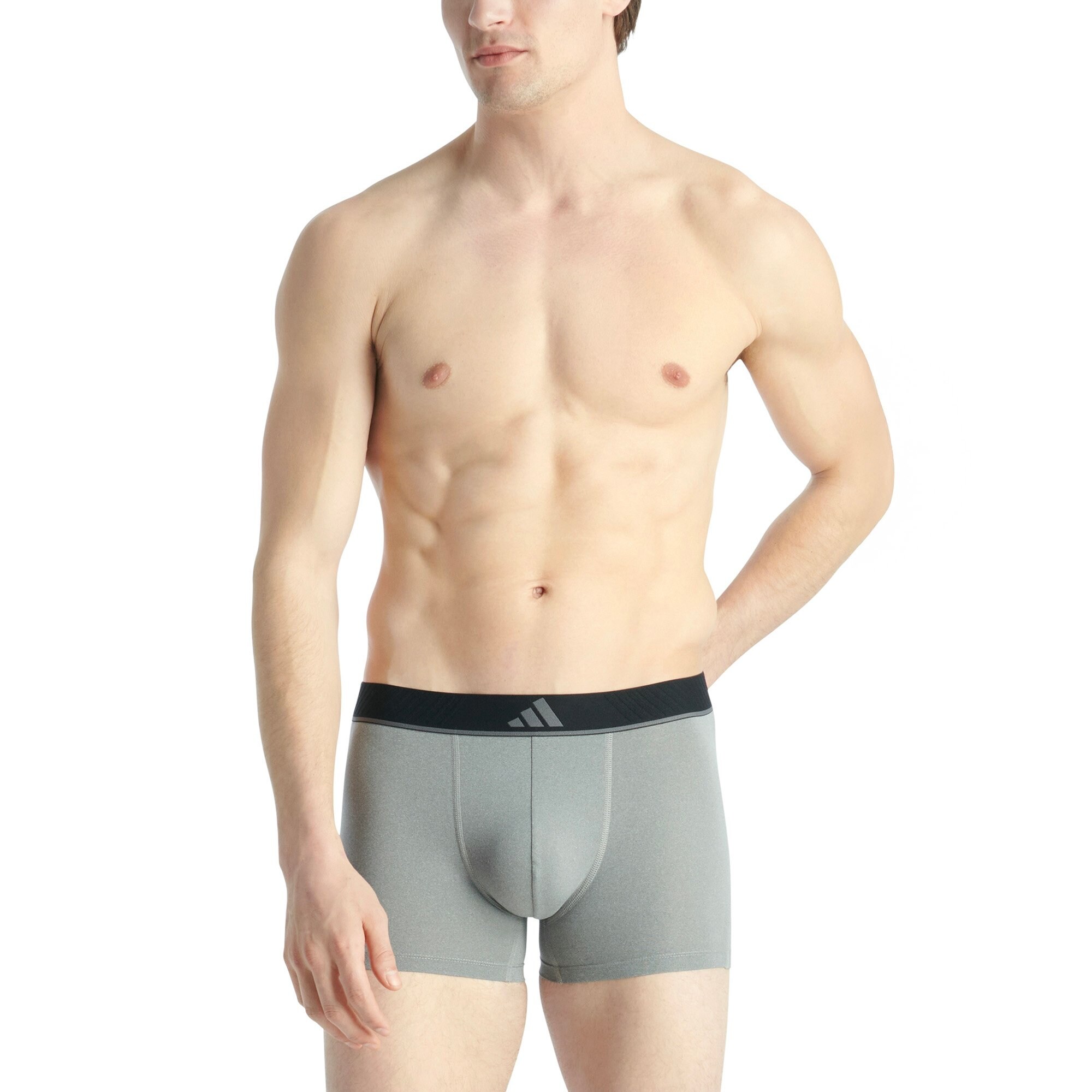 ADIDAS SPORTSWEAR Calzoncillo boxer gris / pino / negro – imagen 4