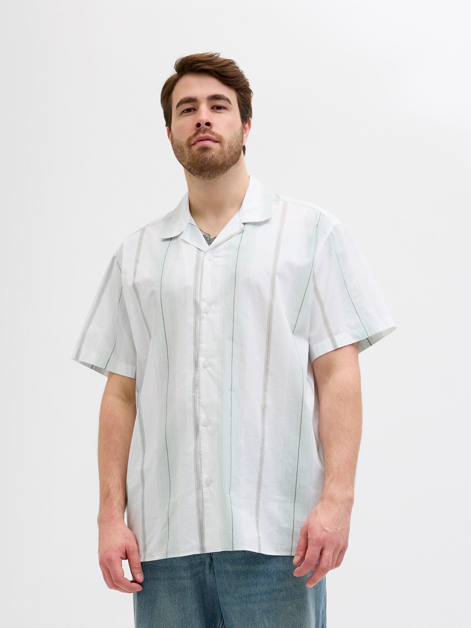Jack & Jones Plus Ing 'JPRBLAPALERMO'  sötétszürke / pasztellzöld / fehér termék 2. képe